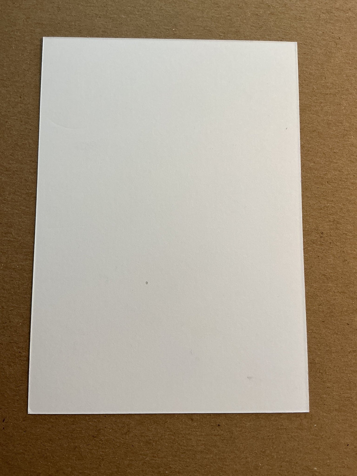Samuel Hlavaj, Slovakia 🇸🇰 HC Plzeň 2023/24 hand signed - Autographs-World