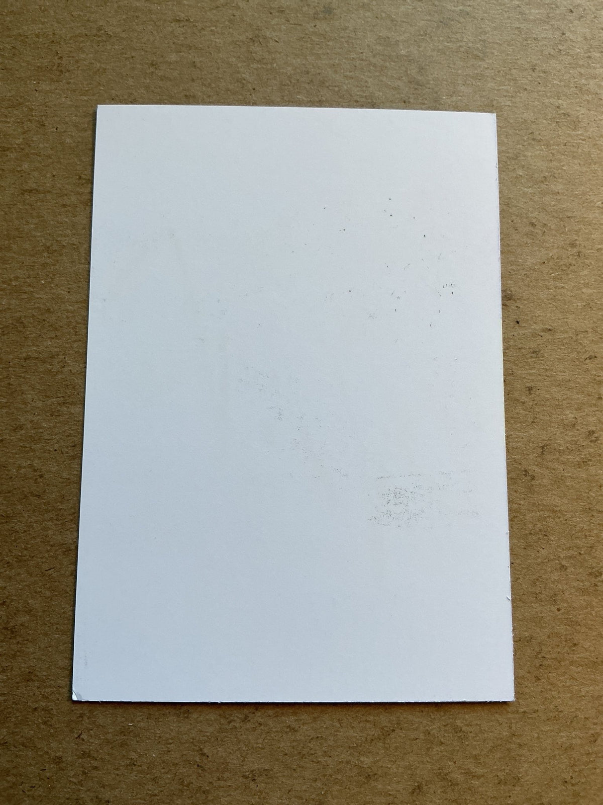 Vukadin Vukadinović, Serbia 🇷🇸 FK Teplice 2020/21 hand signed - Autographs-World