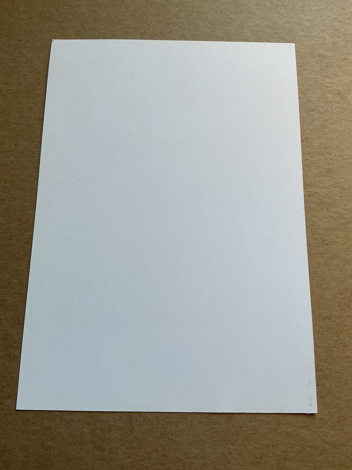 Zrinka Ljutic, Croatia ðŸ‡ðŸ‡· Alpine Winter Sports 2024/25 hand signed - Autographs-World