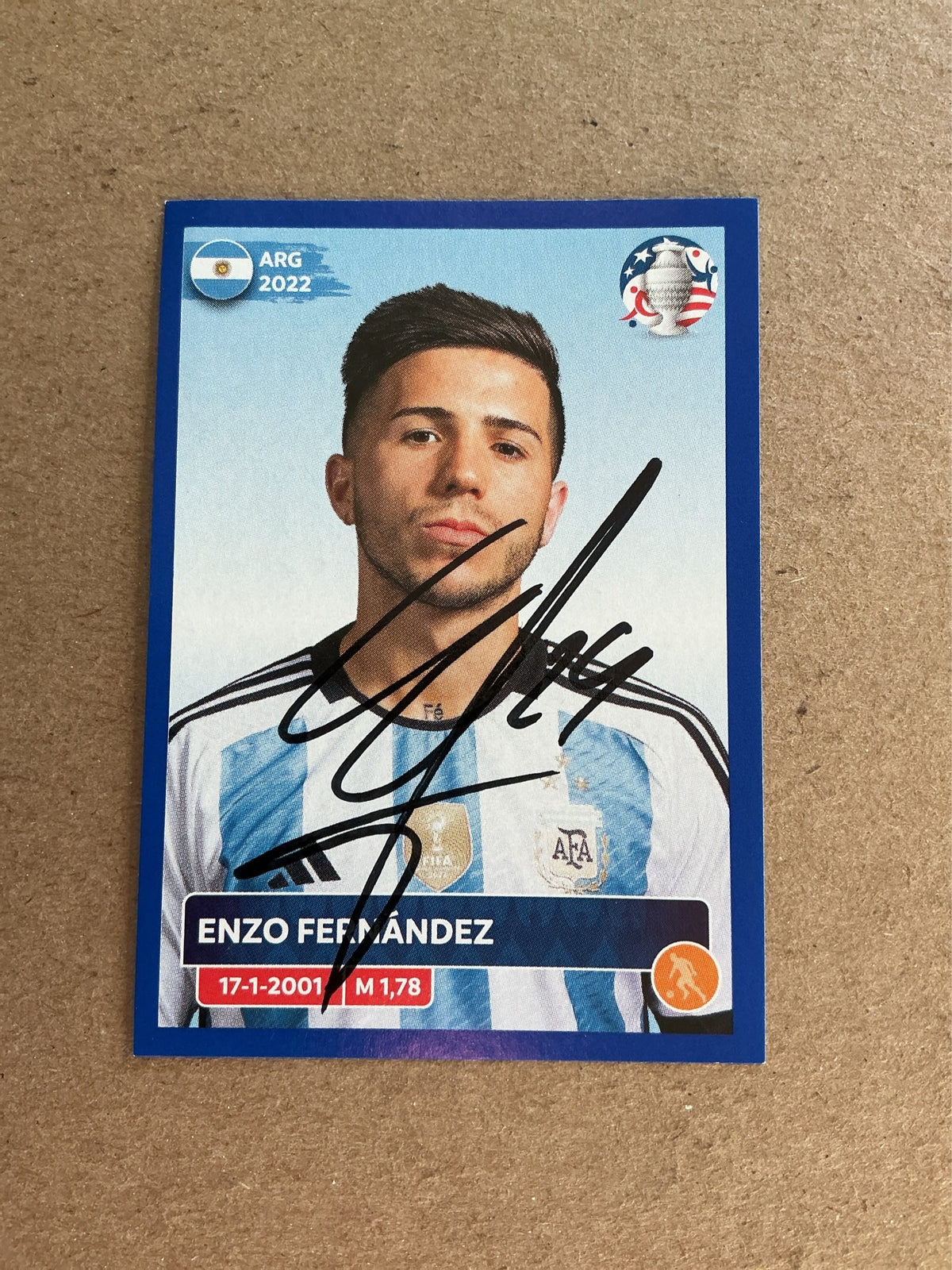 Enzo Fernández, Argentina 🇦🇷 Copa America 2024 Panini hand signed