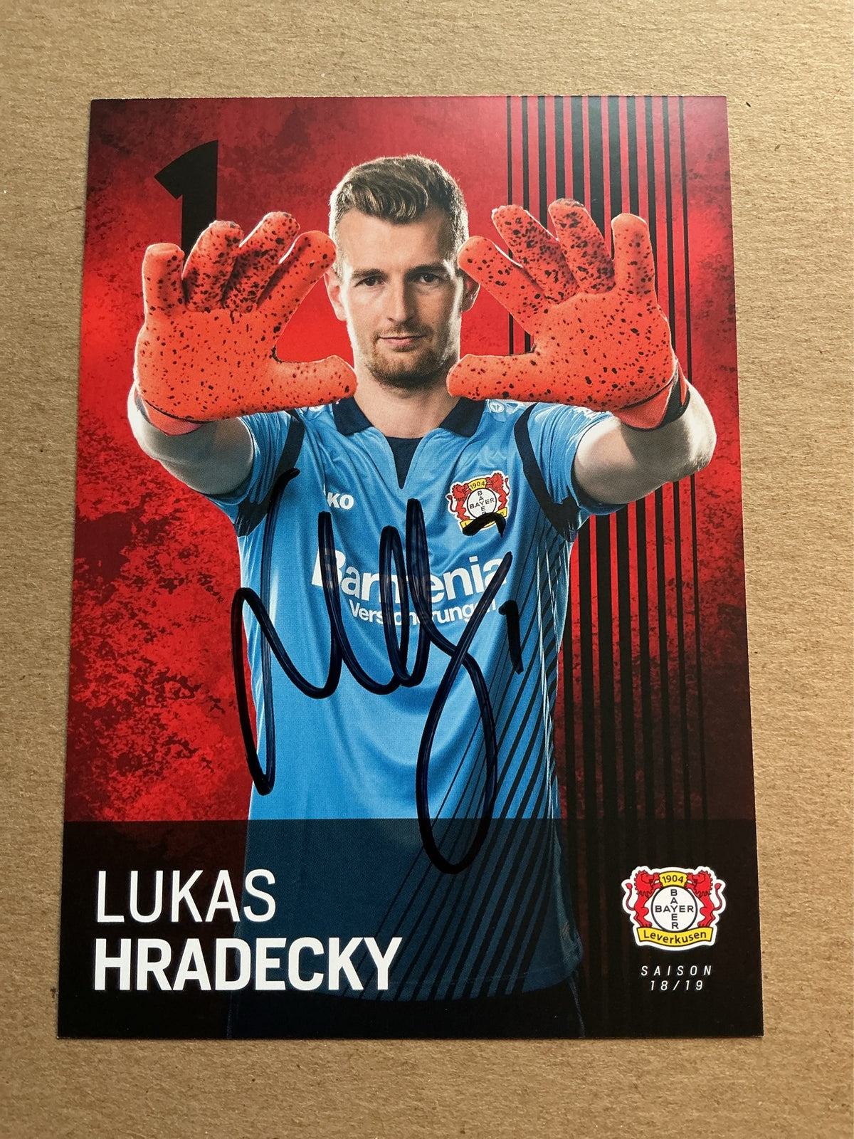 Lukas Hradecky, Finland 🇫🇮 Bayer 04 Leverkusen 2018/19 hand signed