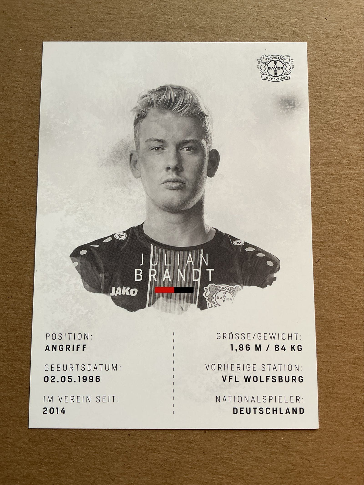 Julian Brandt, Germany 🇩🇪 Bayer 04 Leverkusen 2018/19 hand signed