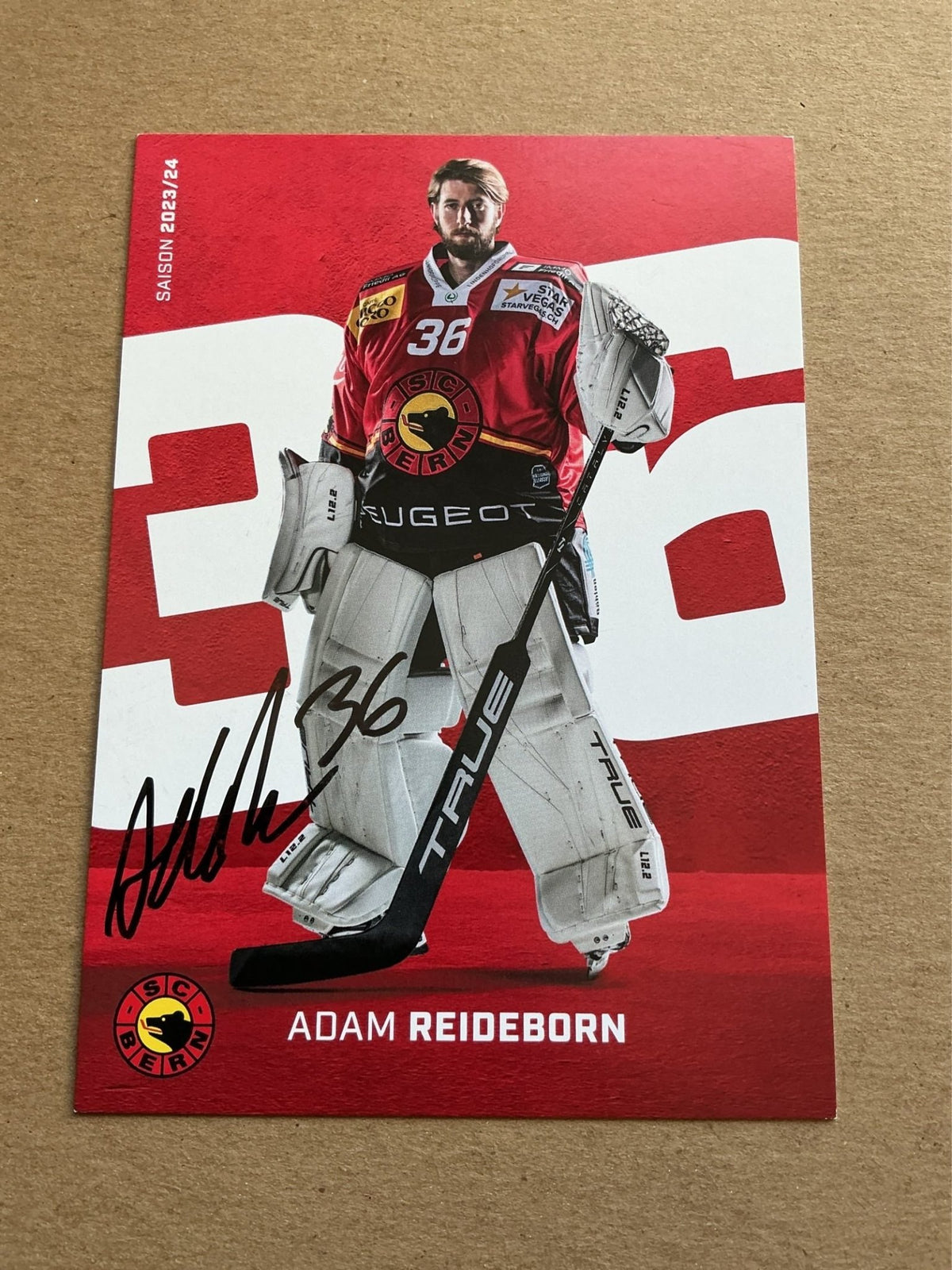 Adam Reideborn, Sweden 🇸🇪 SC Bern 2023/24 hand signed - Autographs-World