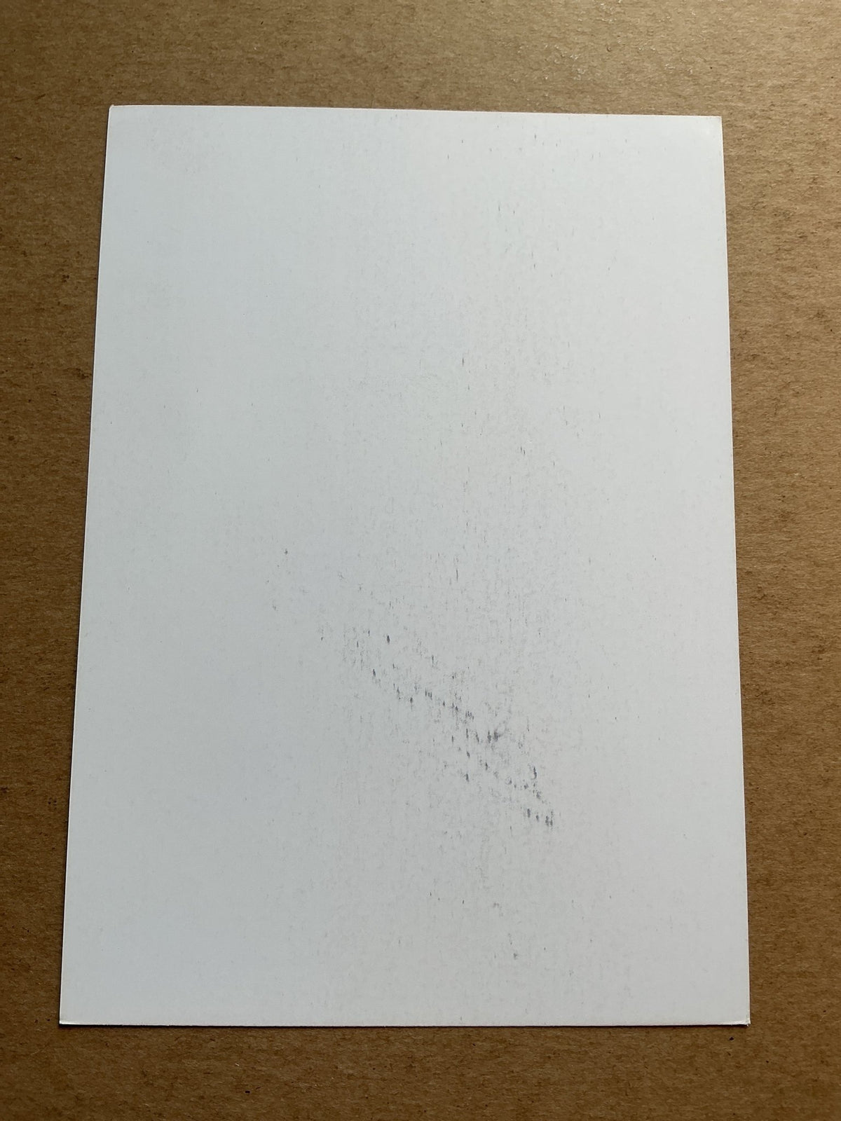 Adama Niane, Mali 🇲🇱 Royal Charleroi SC 2019/20 hand signed - Autographs-World