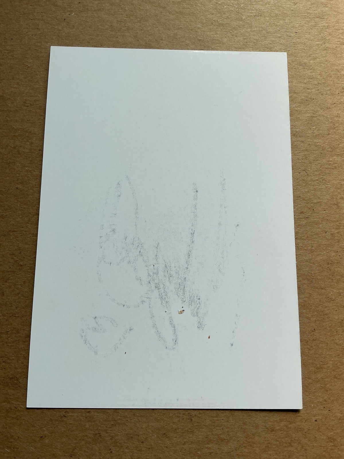 Alexander Ammitzbøll, Denmark 🇩🇰 Aarhus GF 2021/22 hand signed - Autographs-World