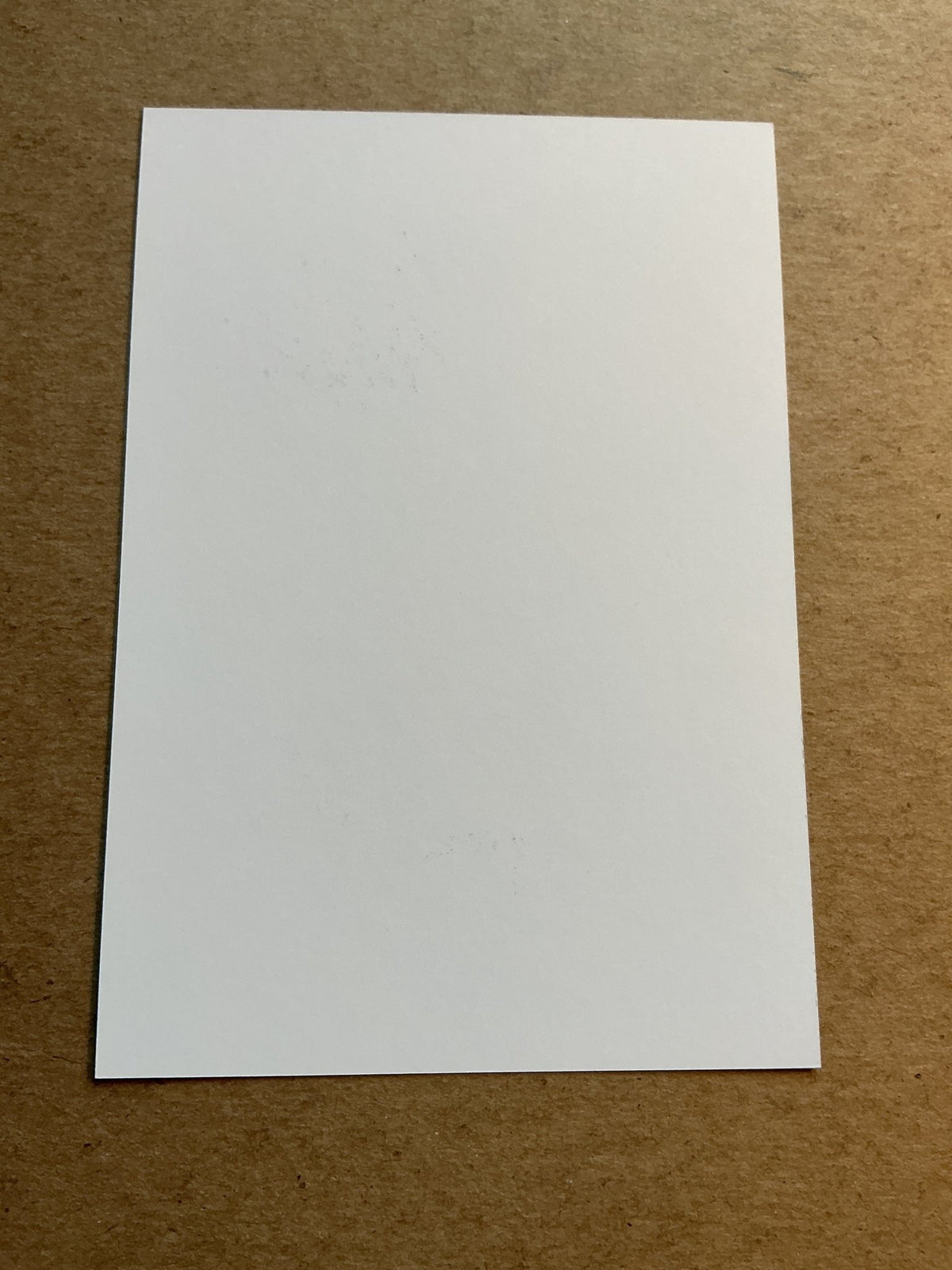Bence Végh, Hungary 🇭🇺 MTK Budapest FC 2023/24 hand signed - Autographs-World