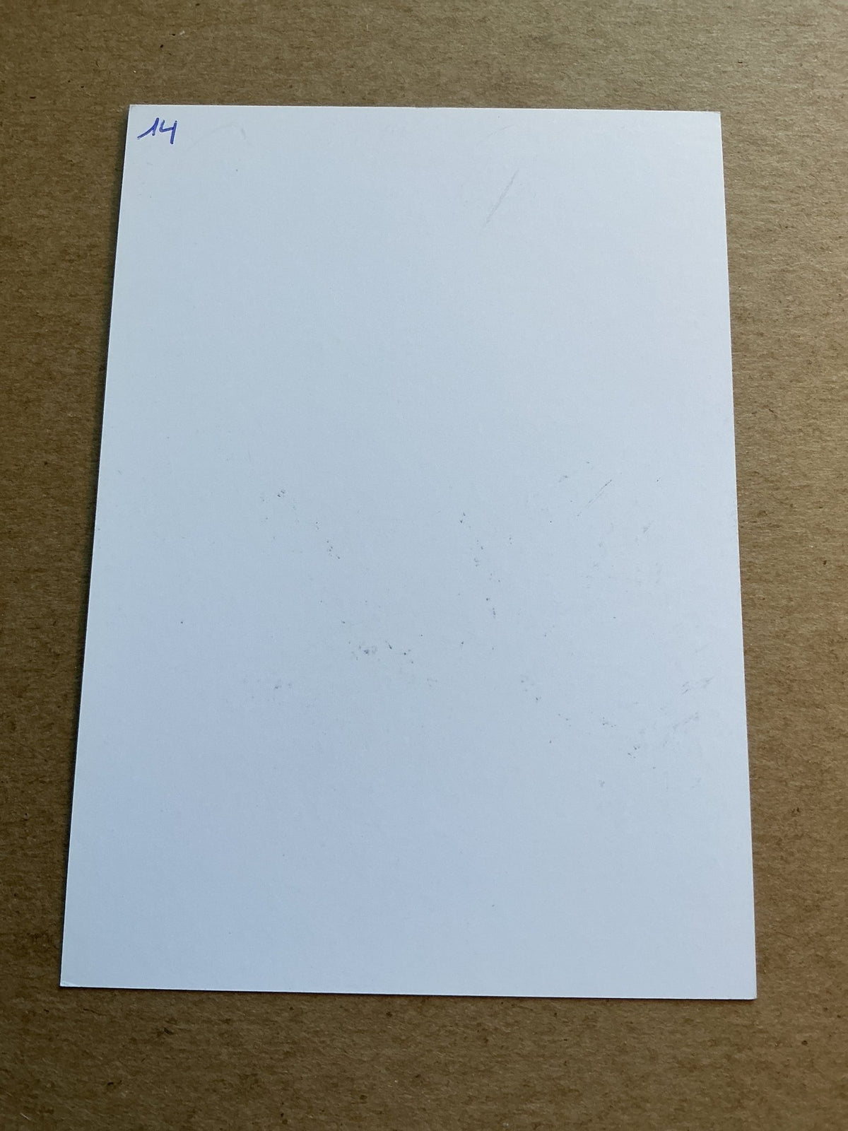 Bjorn Meijer, Netherlands 🇳🇱 Club Brugge 2022/23 hand signed - Autographs-World