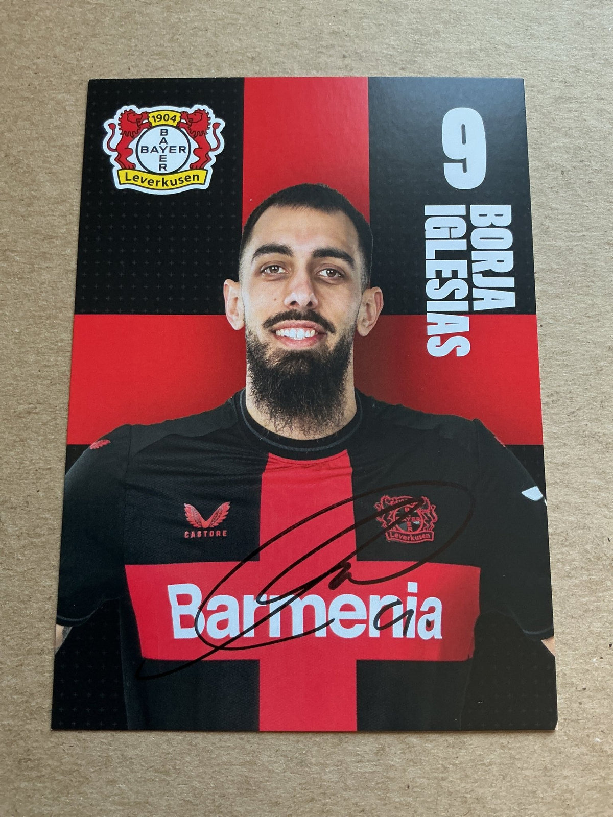 Borja Iglesias, Spain 🇪🇸 Bayer 04 Leverkusen 2023/24 hand signed - Autographs-World