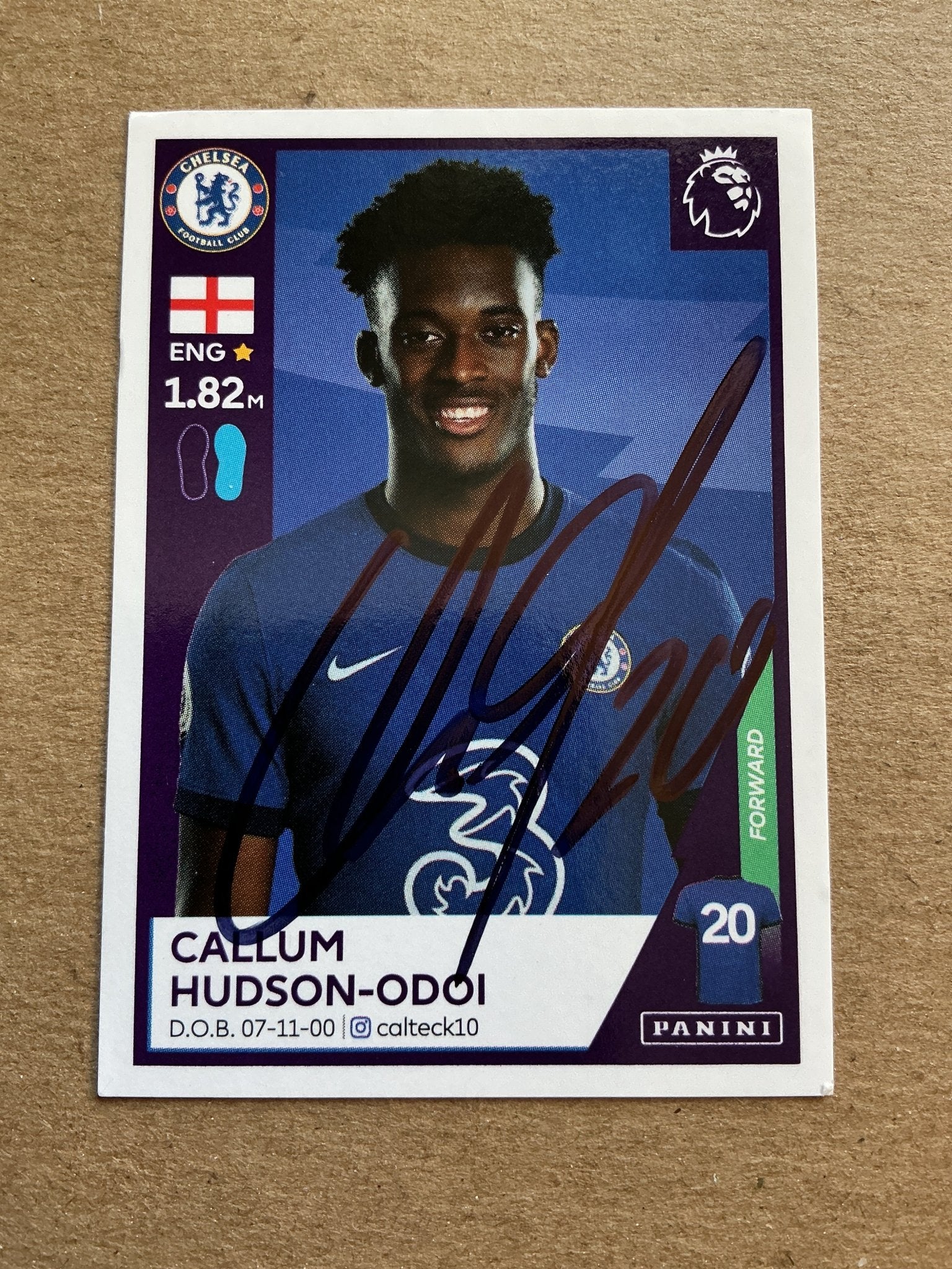 Callum Hudson-Odoi, England 🏴󠁧󠁢󠁥󠁮󠁧󠁿 Chelsea FC 2021 Panini hand signed - Autographs-World
