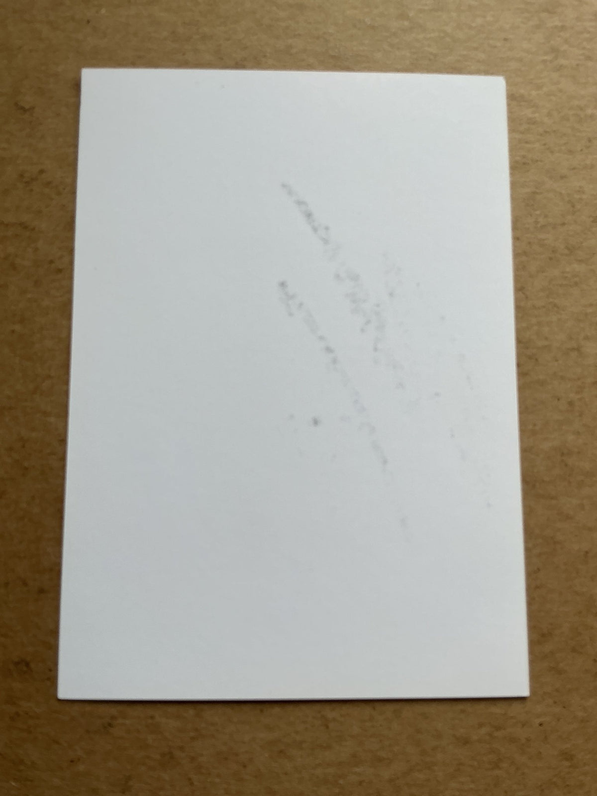 Christophe Galtier, France 🇫🇷 Lille OSC 2019/20 hand signed - Autographs-World