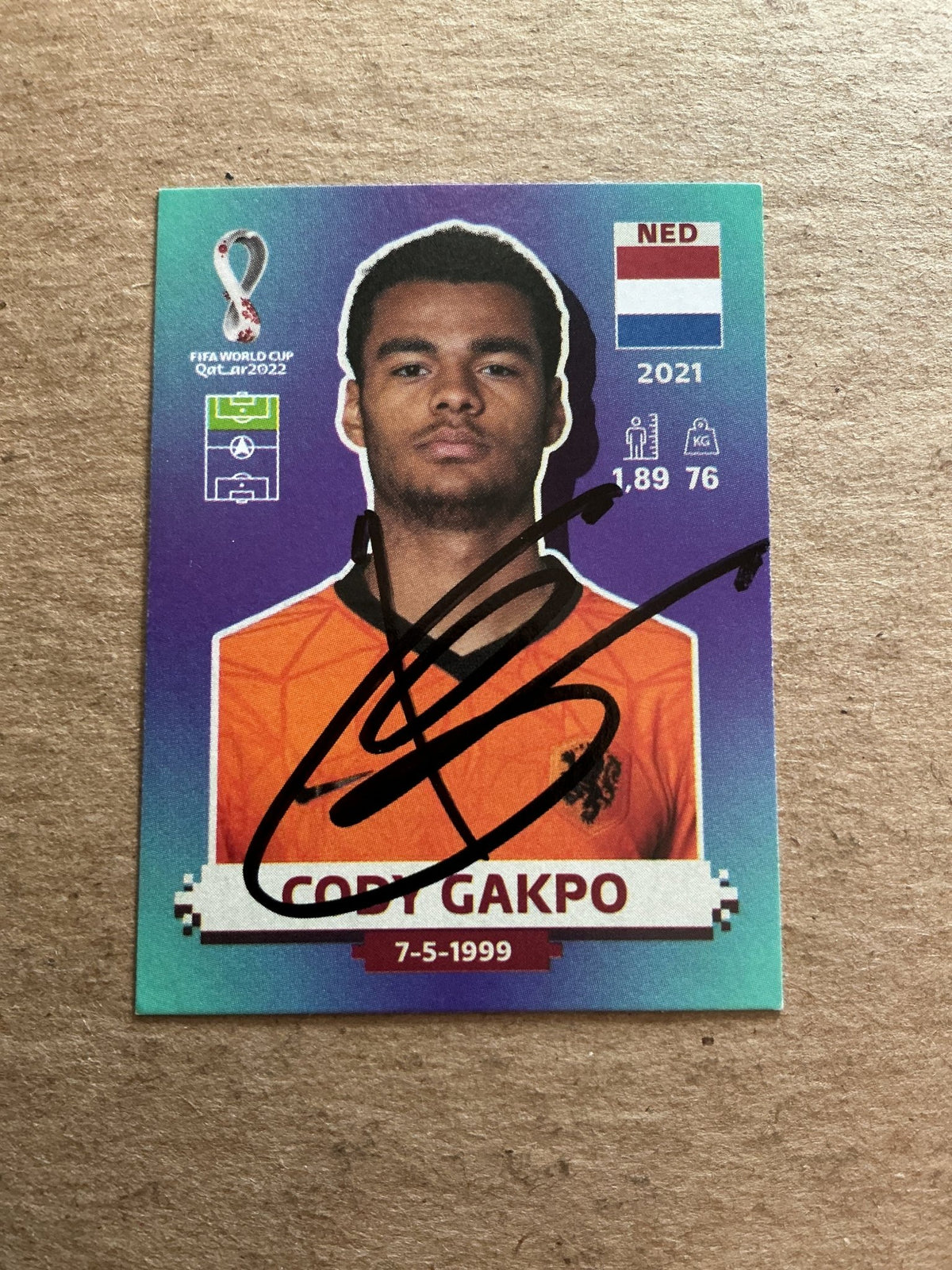 Cody Gakpo, Netherlands 🇳🇱 FIFA World Cup 2022 Panini hand signed - Autographs-World