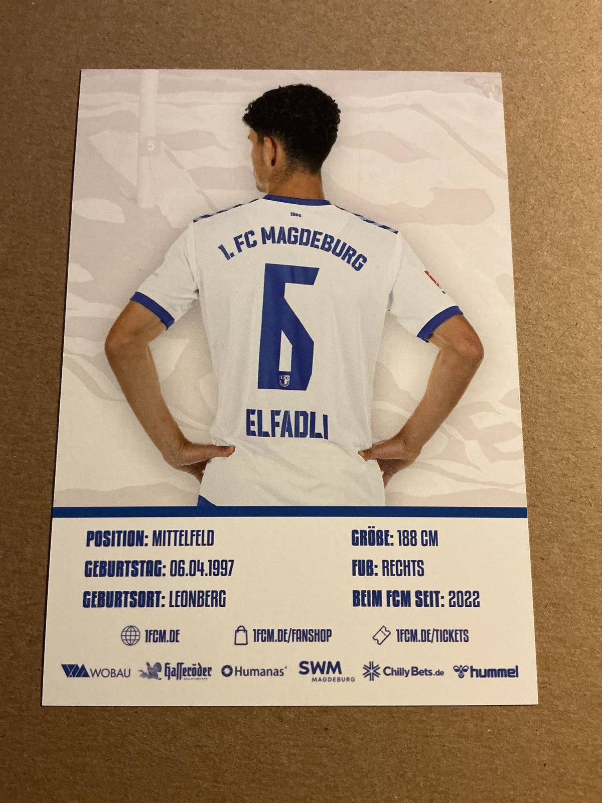 Daniel Efadli, Libya 🇱🇾 1.FC Magdeburg 2023/24 hand signed - Autographs-World