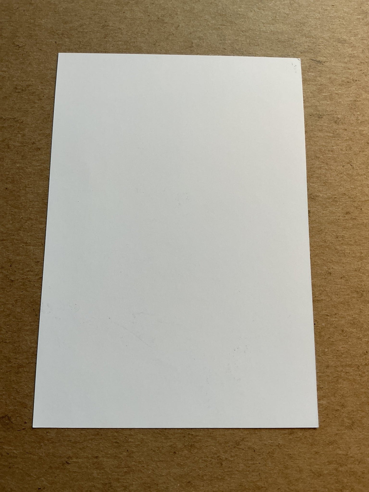 Dániel Zsóri, Hungary 🇭🇺 MTK Budapest FC 2023/24 hand signed - Autographs-World
