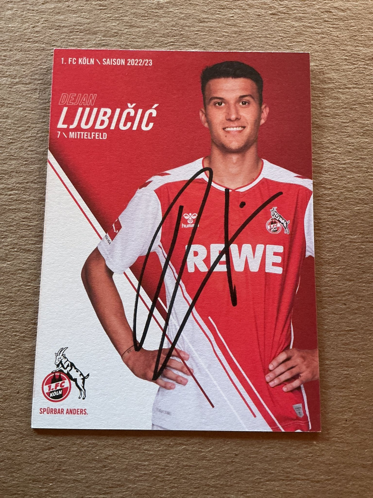 Dejan Ljubičić, Austria 🇦🇹 1.FC Köln 2022/23 hand signed - Autographs-World