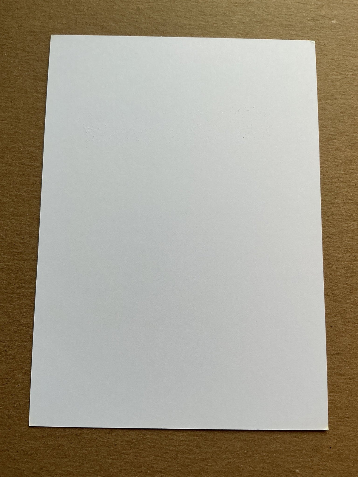 Denis Petrić, Slovenia 🇸🇮 FC Nantes 2019/20 hand signed - Autographs-World