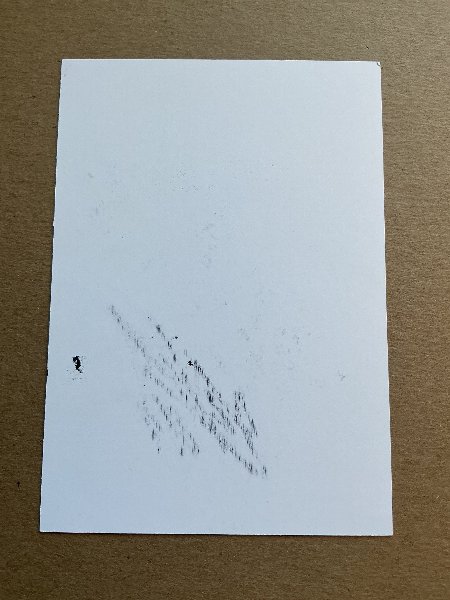 Diego Živulić, Croatia 🇭🇷 Śląsk Wrocław 2019/20 hand signed - Autographs-World