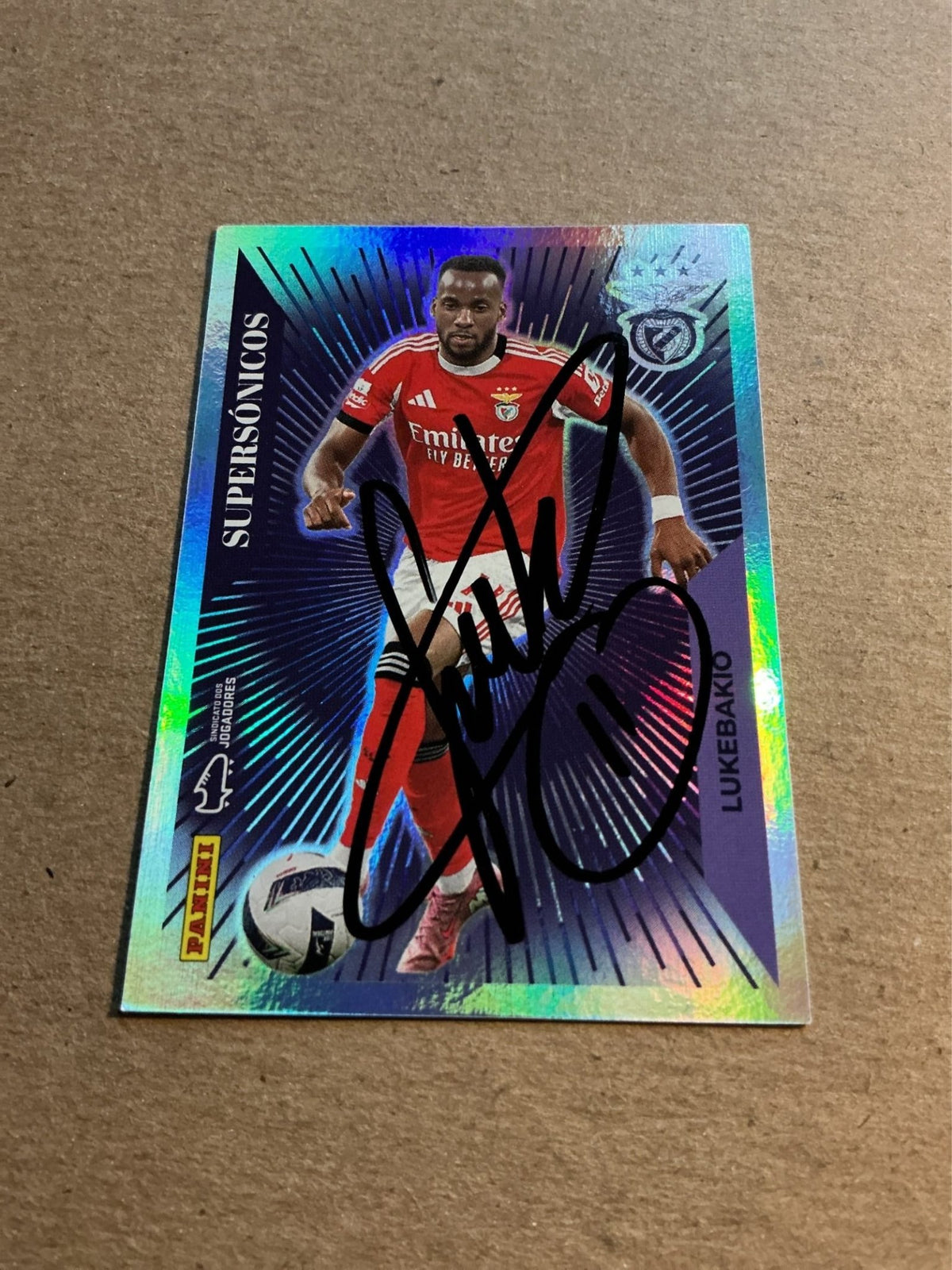 Dodi Lukebakio, Belgium 🇧🇪 SL Benfica 2025/26 Panini hand signed - Autographs-World