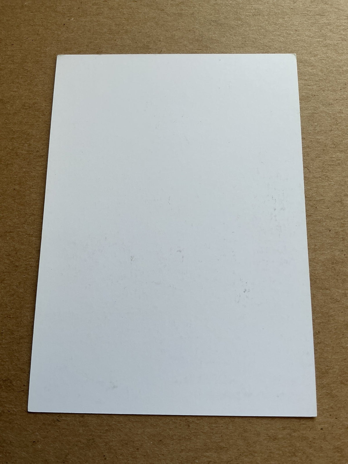 Erik Lamela, Argentina 🇦🇷 Tottenham Hotspur 2018/19 hand signed - Autographs-World