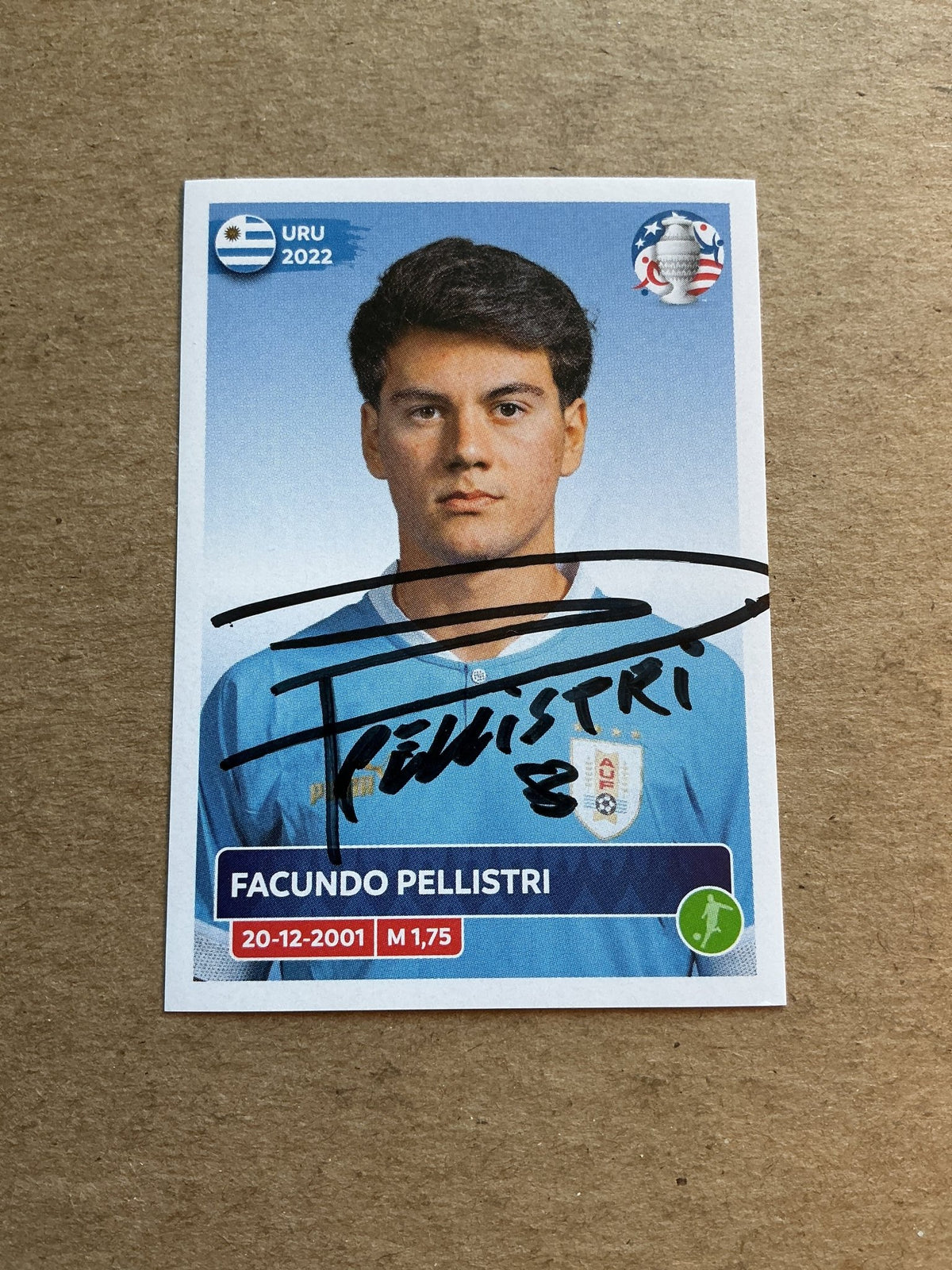 Facundo Pellistri, Uruguay 🇺🇾 Copa America 2024 Panini hand signed - Autographs-World
