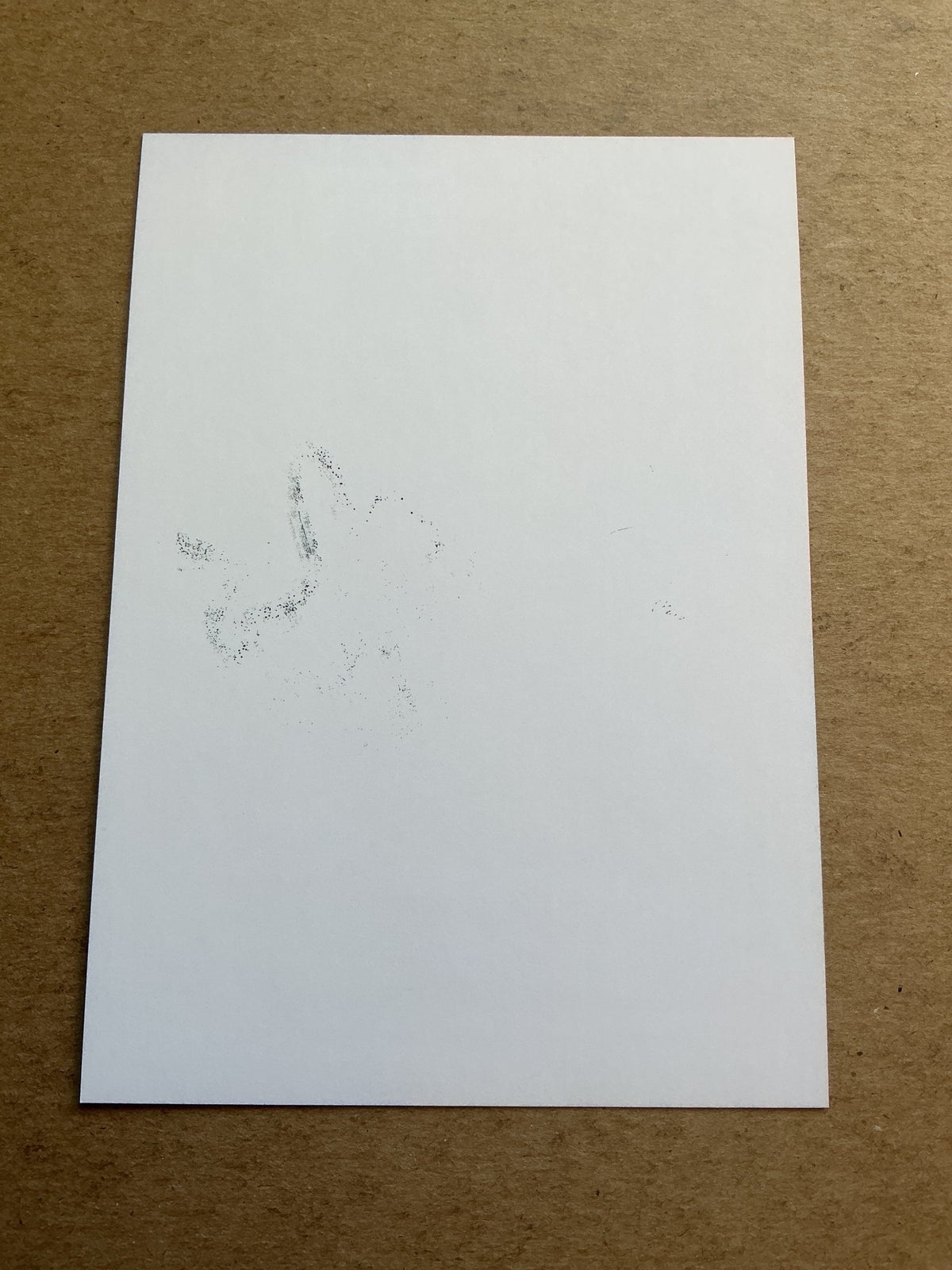 Felix Backszat, Germany 🇩🇪 Wuppertaler SV 2021/22 hand signed - Autographs-World