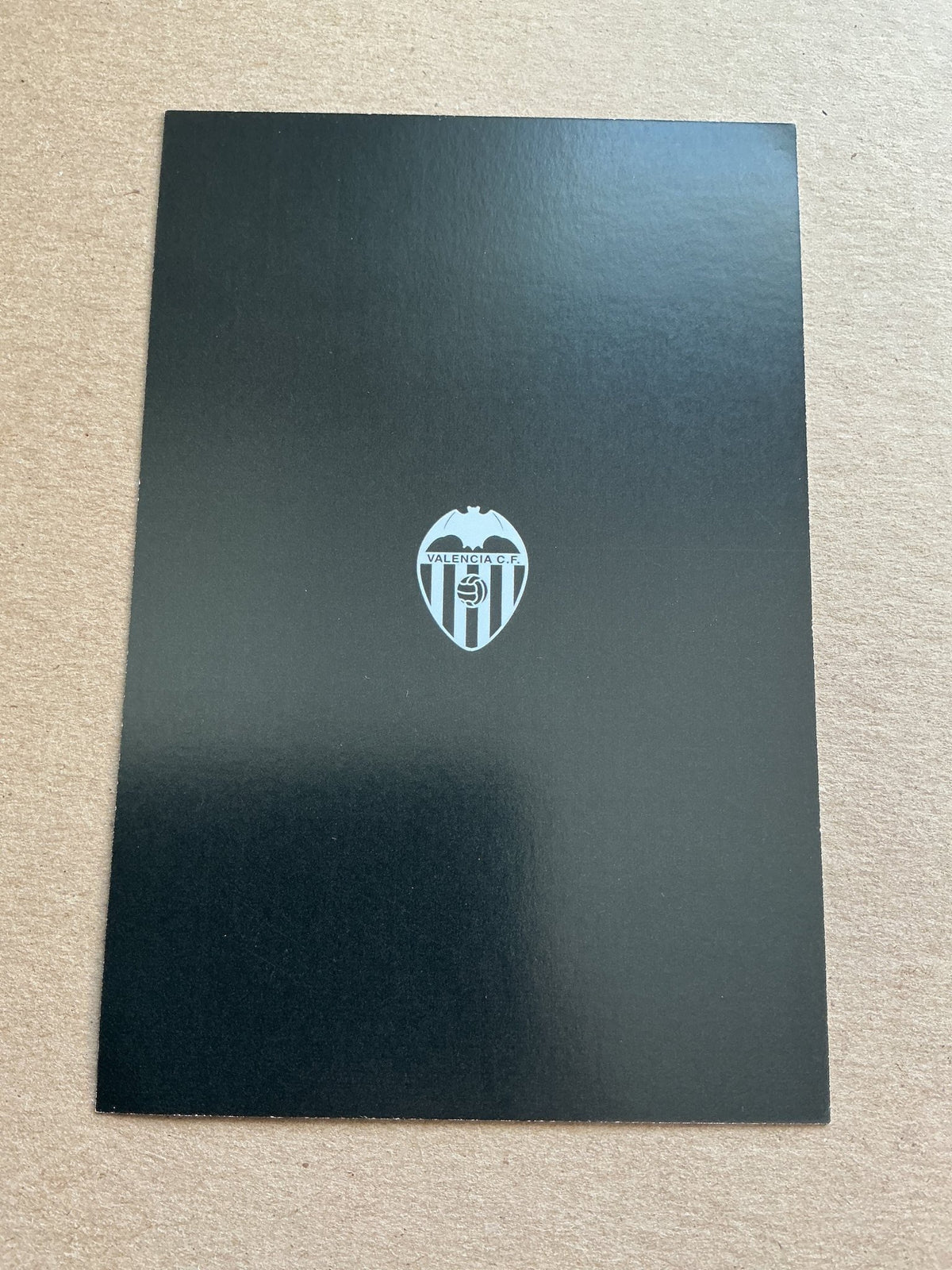 Giorgi Mamardashvili, Georgia 🇬🇪 Valencia CF 2023/24 hand signed - Autographs-World