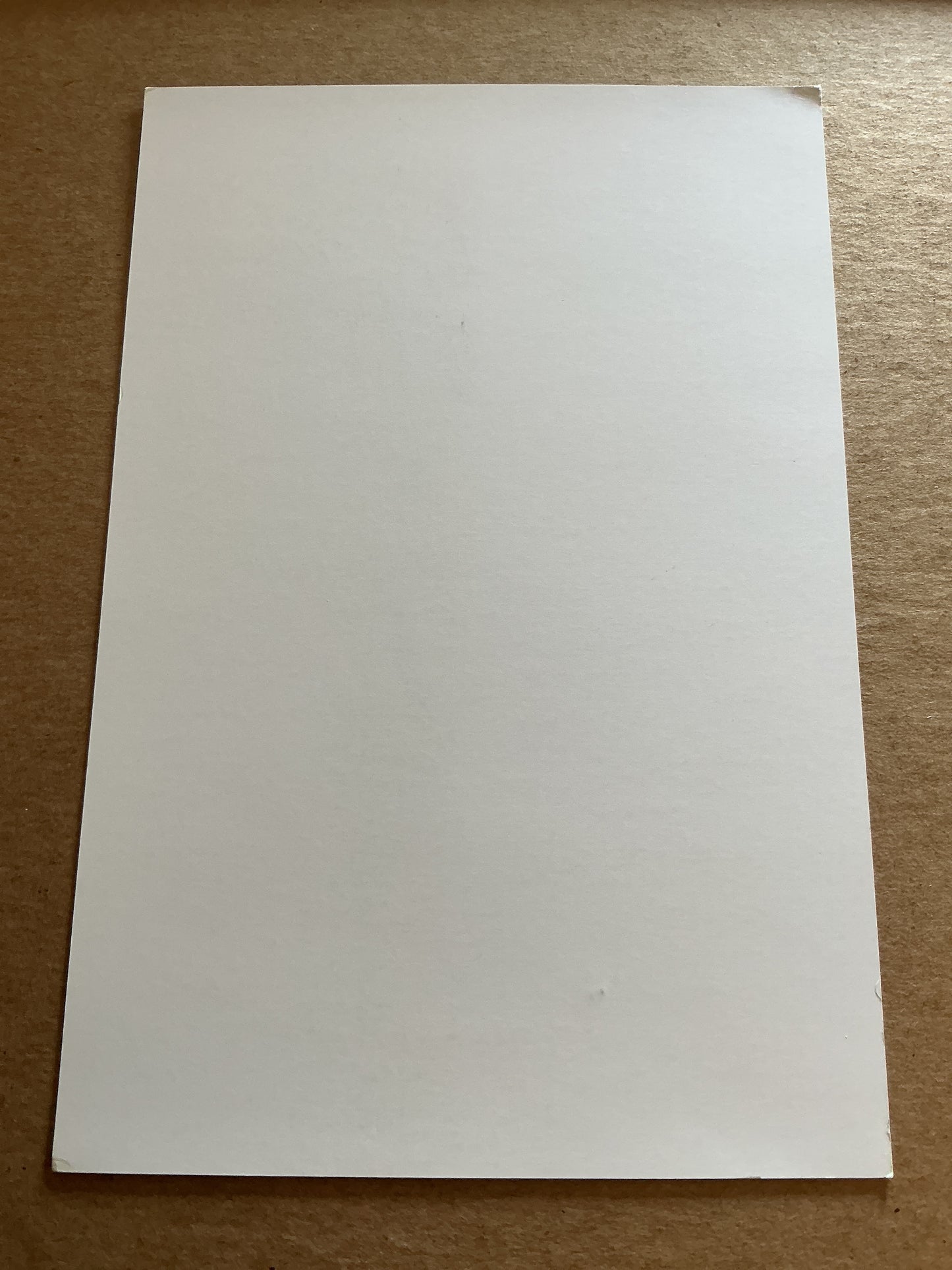 Rui Silva, Portugal 🇵🇹 Real Betis 2024/25 hand signed
