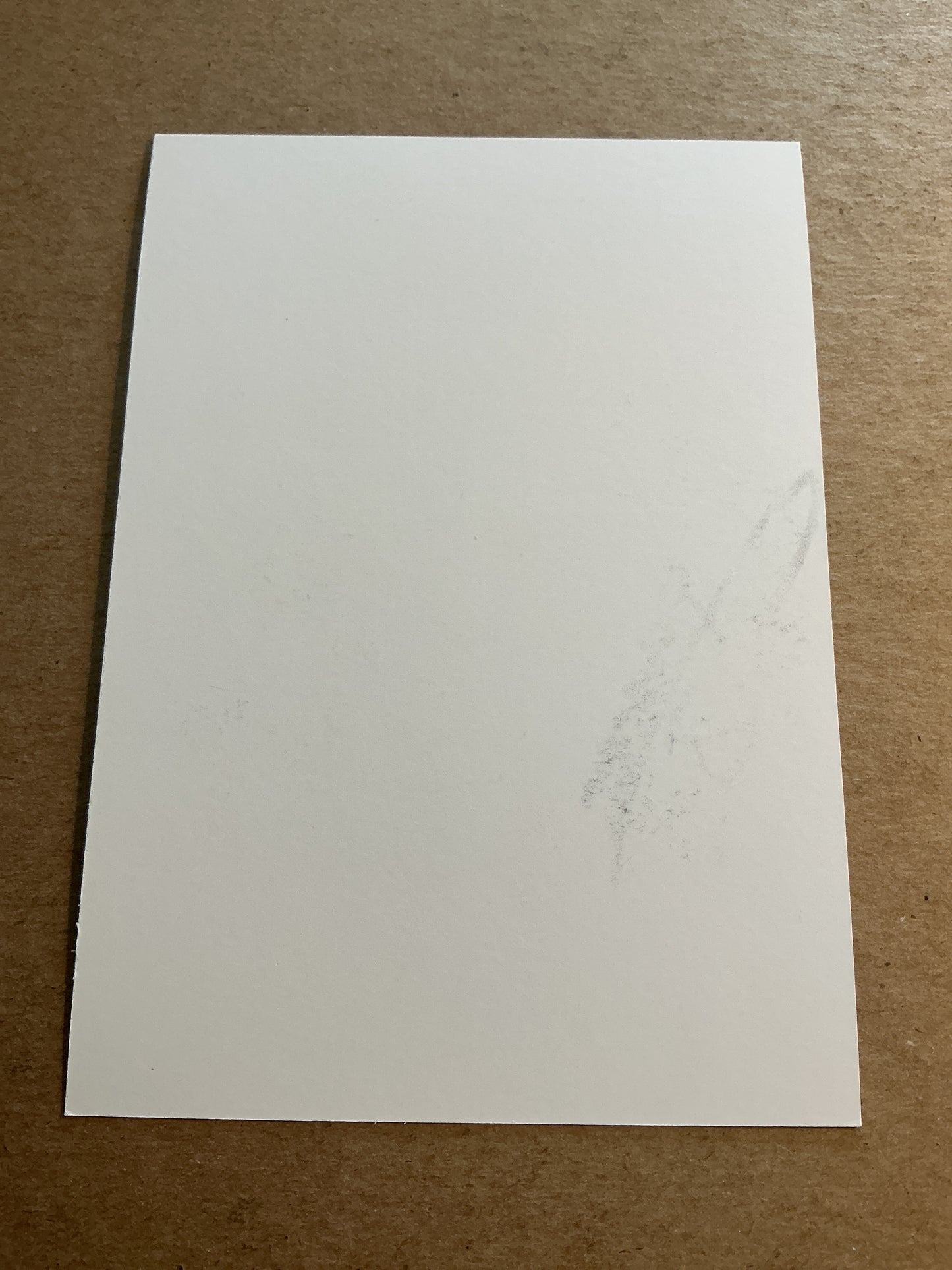 Rui Fonte, Portugal 🇵🇹 Lille OSC 2018/19 hand signed