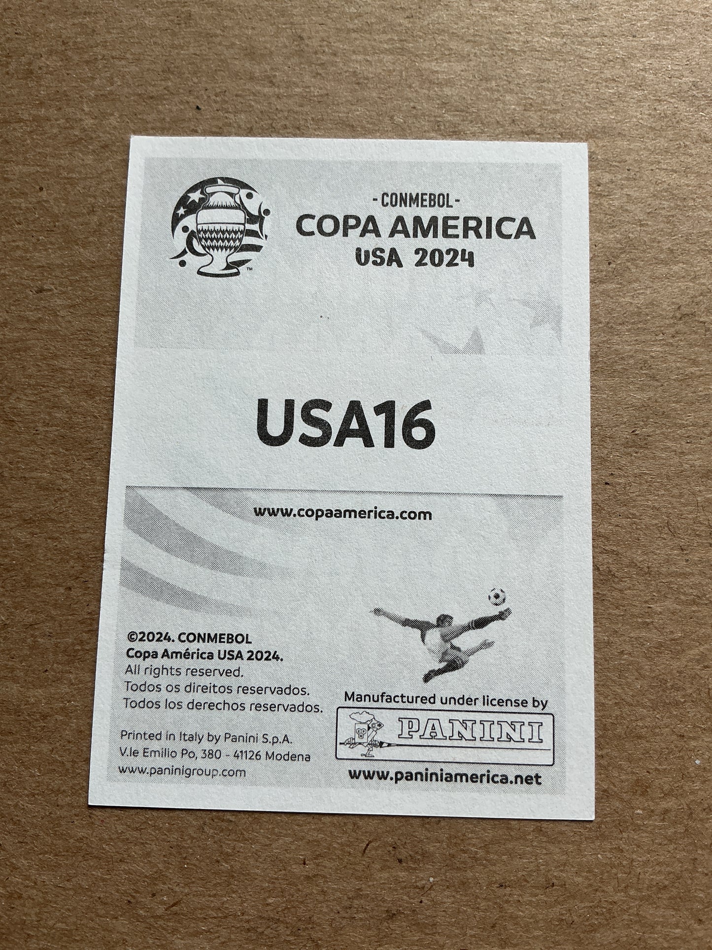 Gio Reyna, USA 🇺🇸 Copa America 2024 Panini hand signed