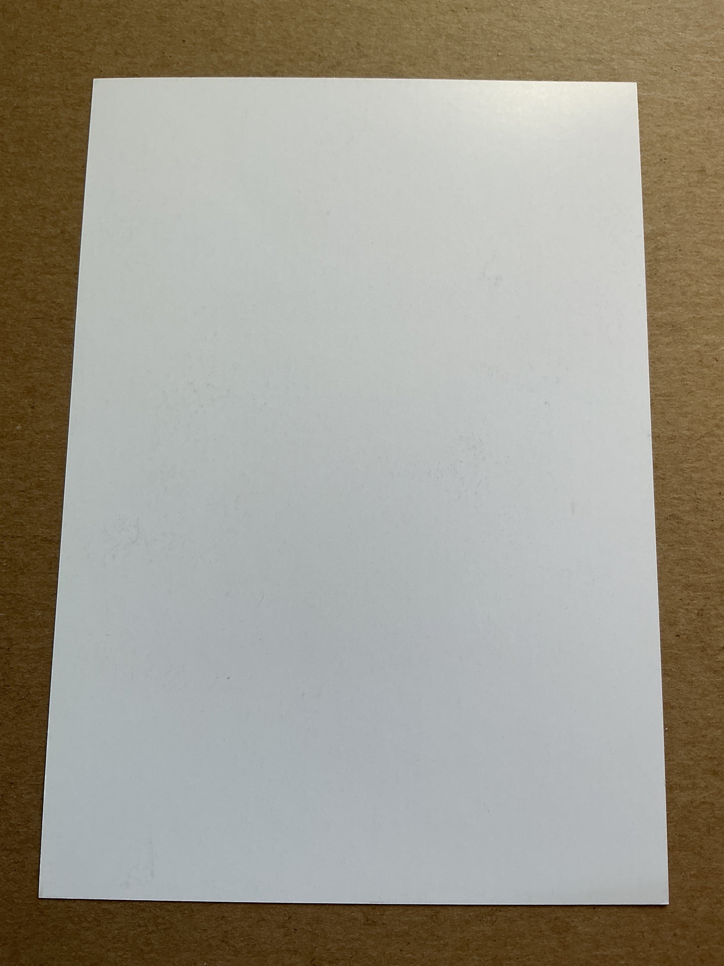 Felice Mazzu, Belgium 🇧🇪 Sporting Charleroi 2018/19 hand signed