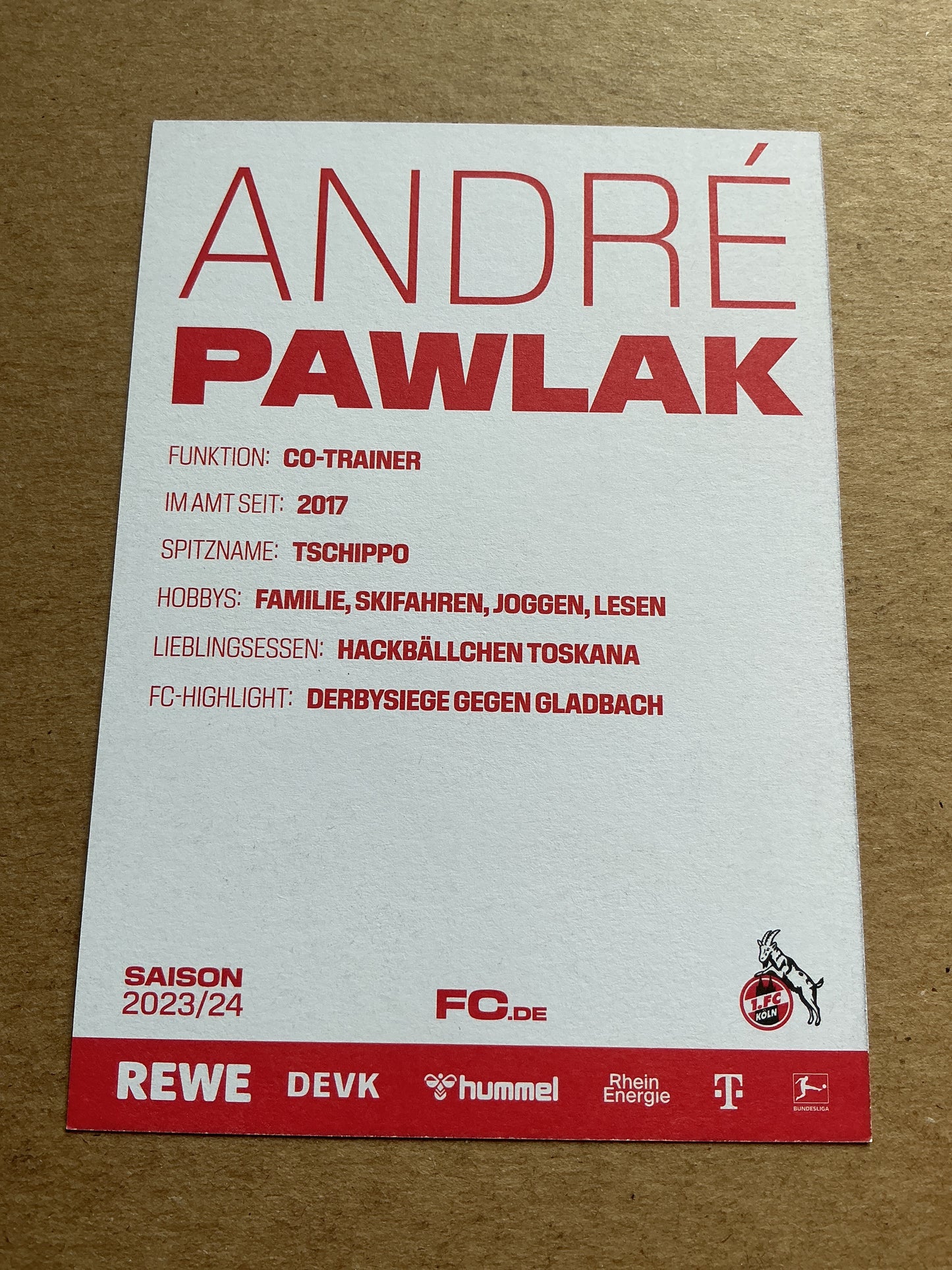 Andre Pawlak, Germany 🇩🇪 1.FC Köln 2023/24 hand signed