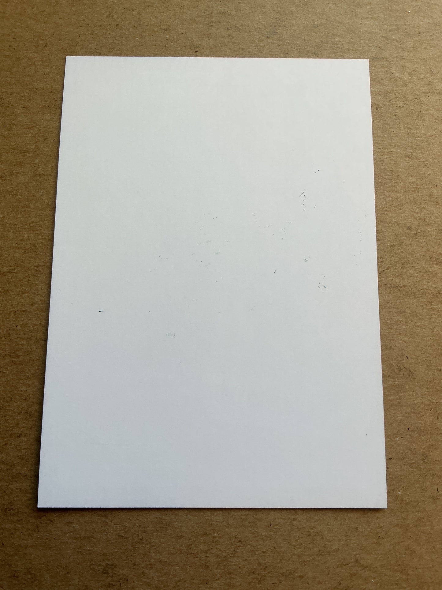 Roman Prokoph, Germany 🇩🇪 Wuppertaler SV 2021/22 hand signed