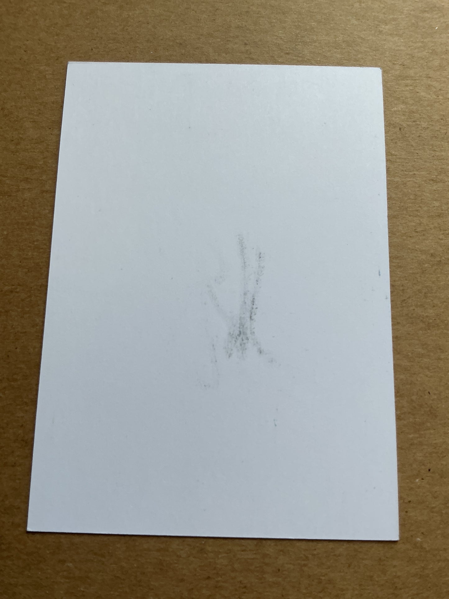 Nuno Borges, Portugal 🇵🇹 Tennis Sports 2025 hand signed