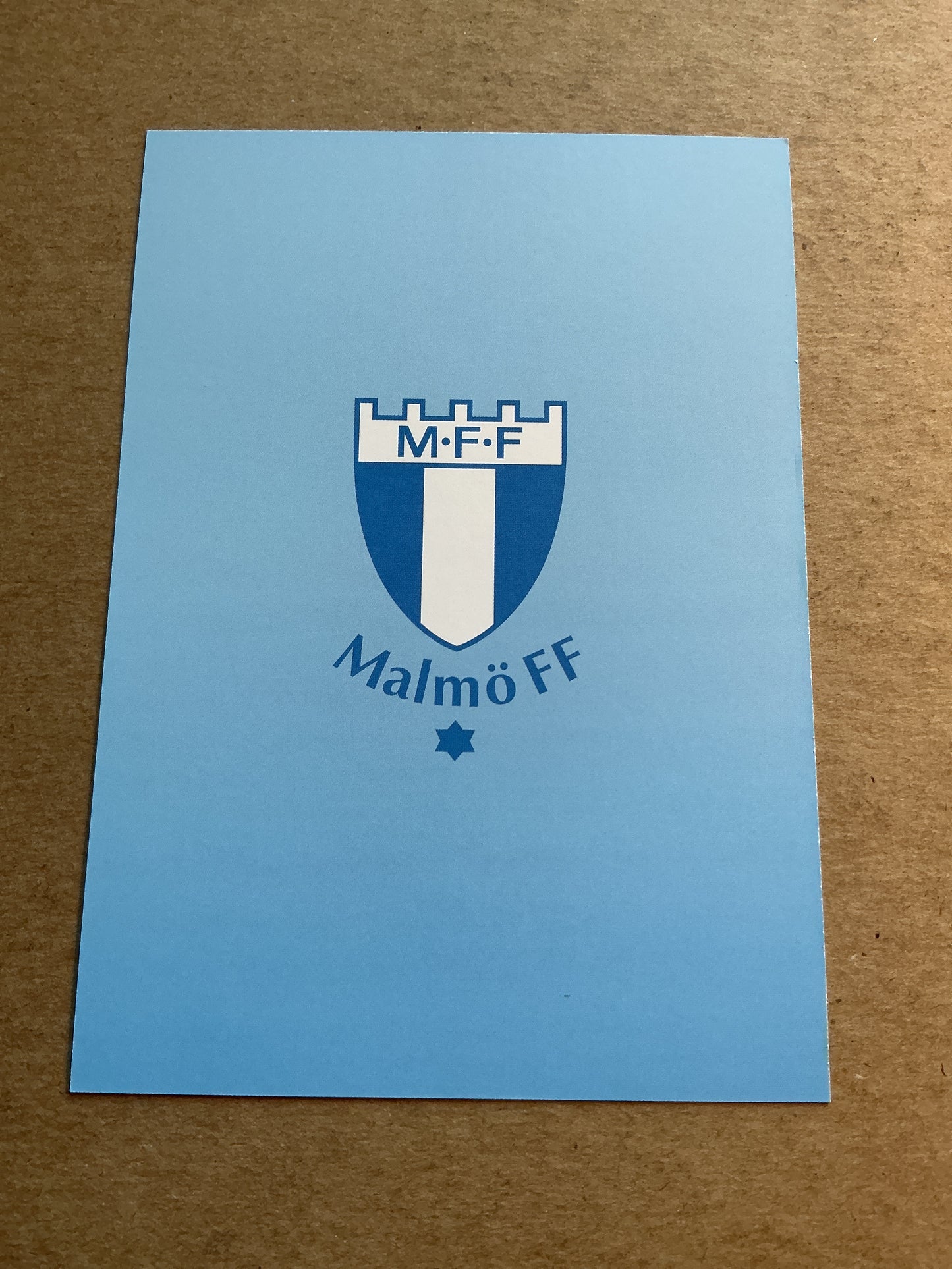 Hugo Bolin, Sweden 🇸🇪 Malmö FF 2023/24 hand signed