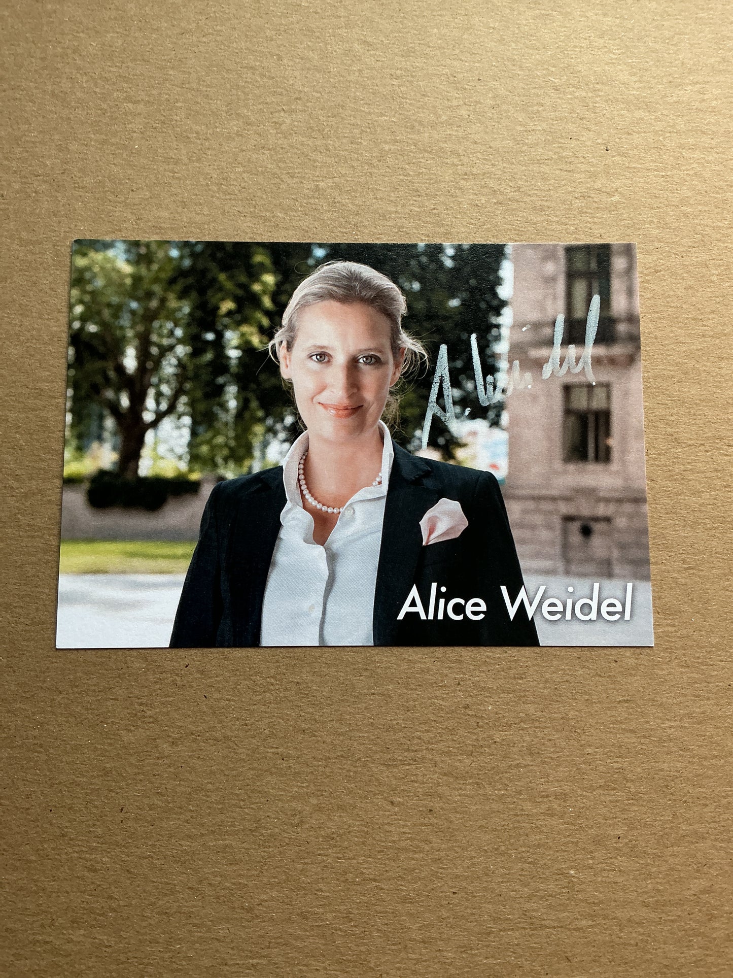 Alice Weidel, Germany 🇩🇪  Member of Parlament 2025 hand signed