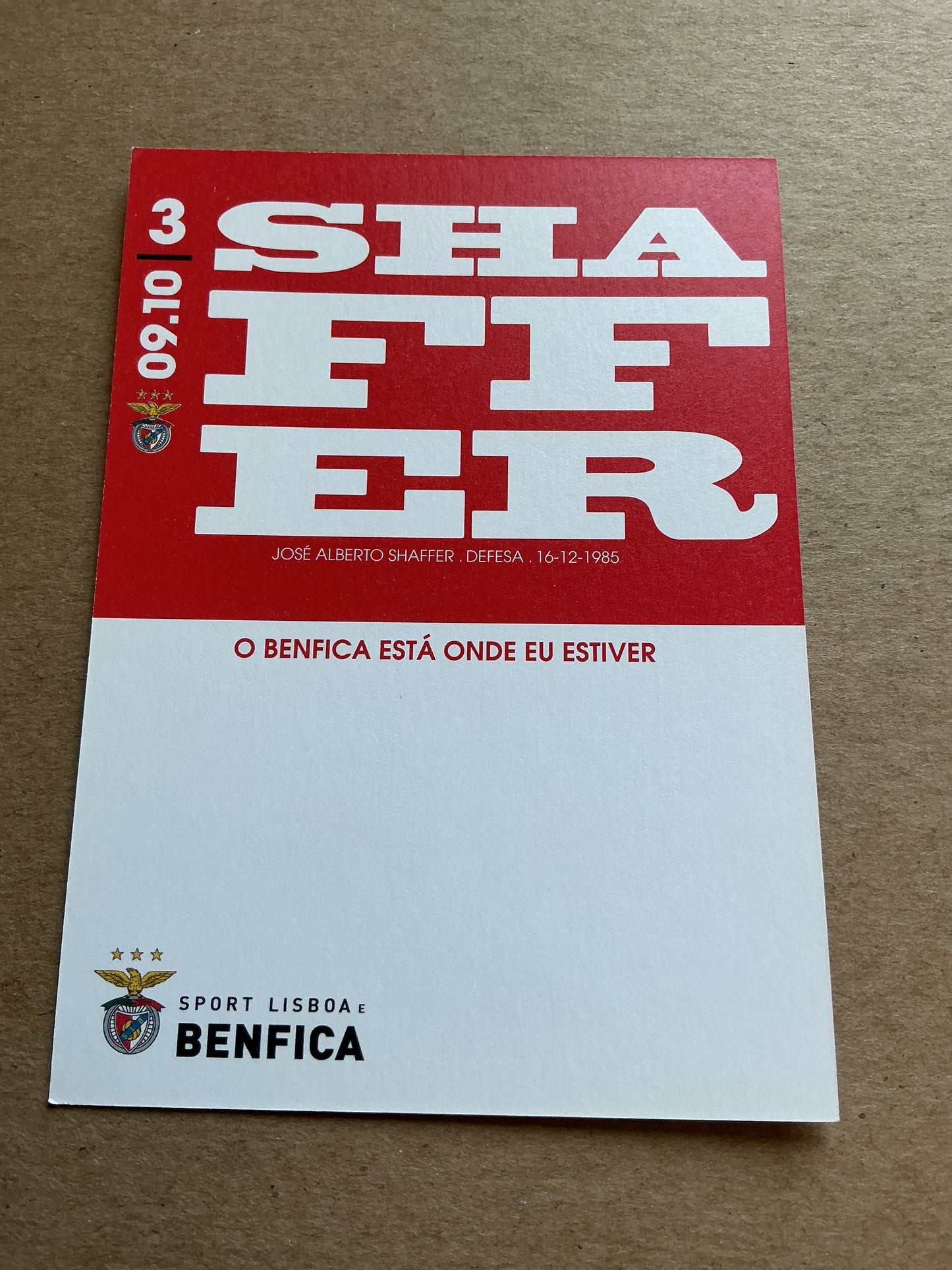 Jose Schaffer, Argentina 🇦🇷 SL Benfica 2009/10 hand signed