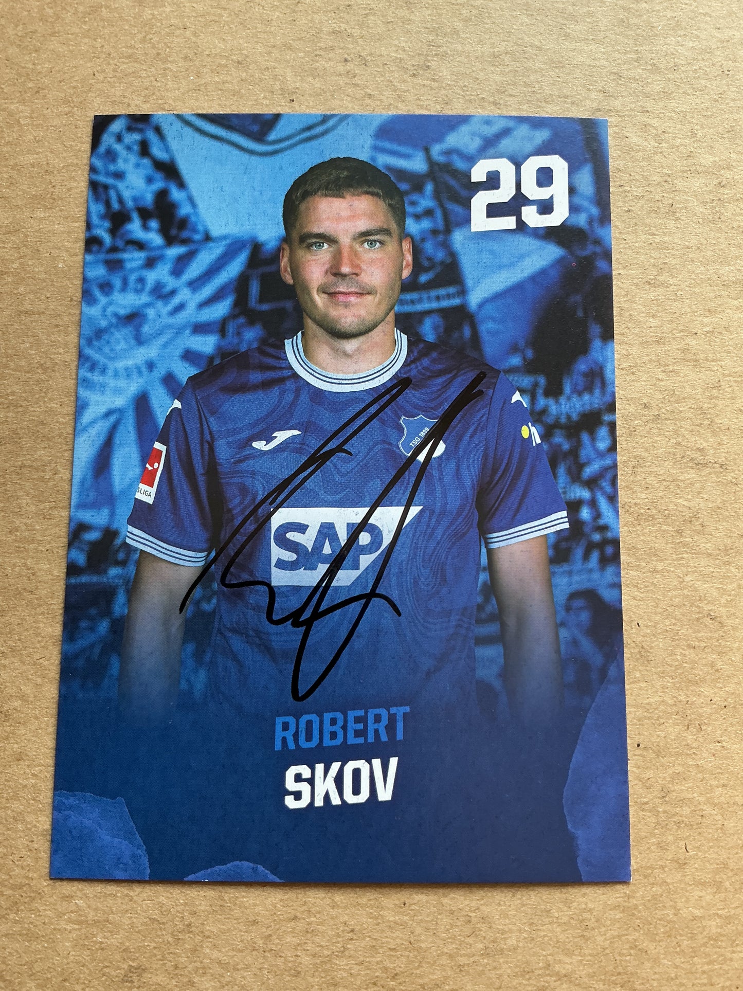Robert Skov, Denmark 🇩🇰 TSG 1899 Hoffenheim 2023/24 hand signed