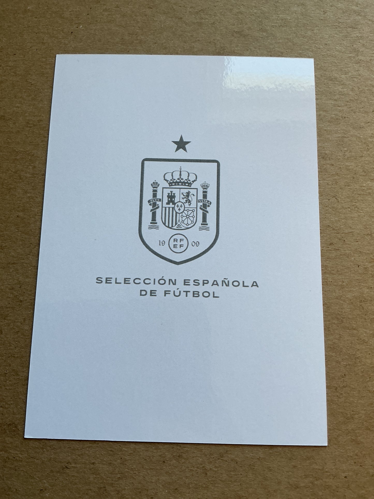 Luis de la Fuente, Spain 🇪🇸 2025 hand signed