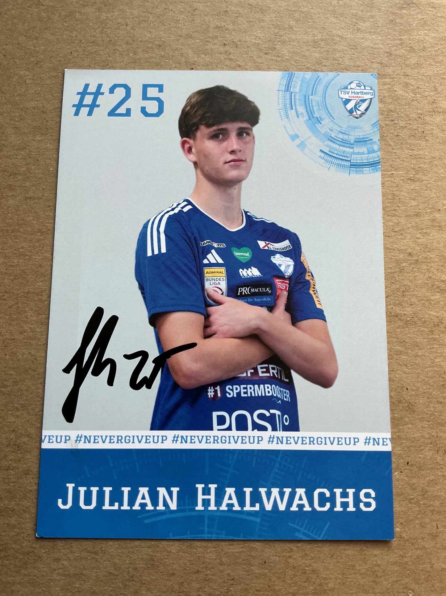 Julian Halwachs, Austria 🇦🇹 TSV Hartberg 2023/24 hand signed
