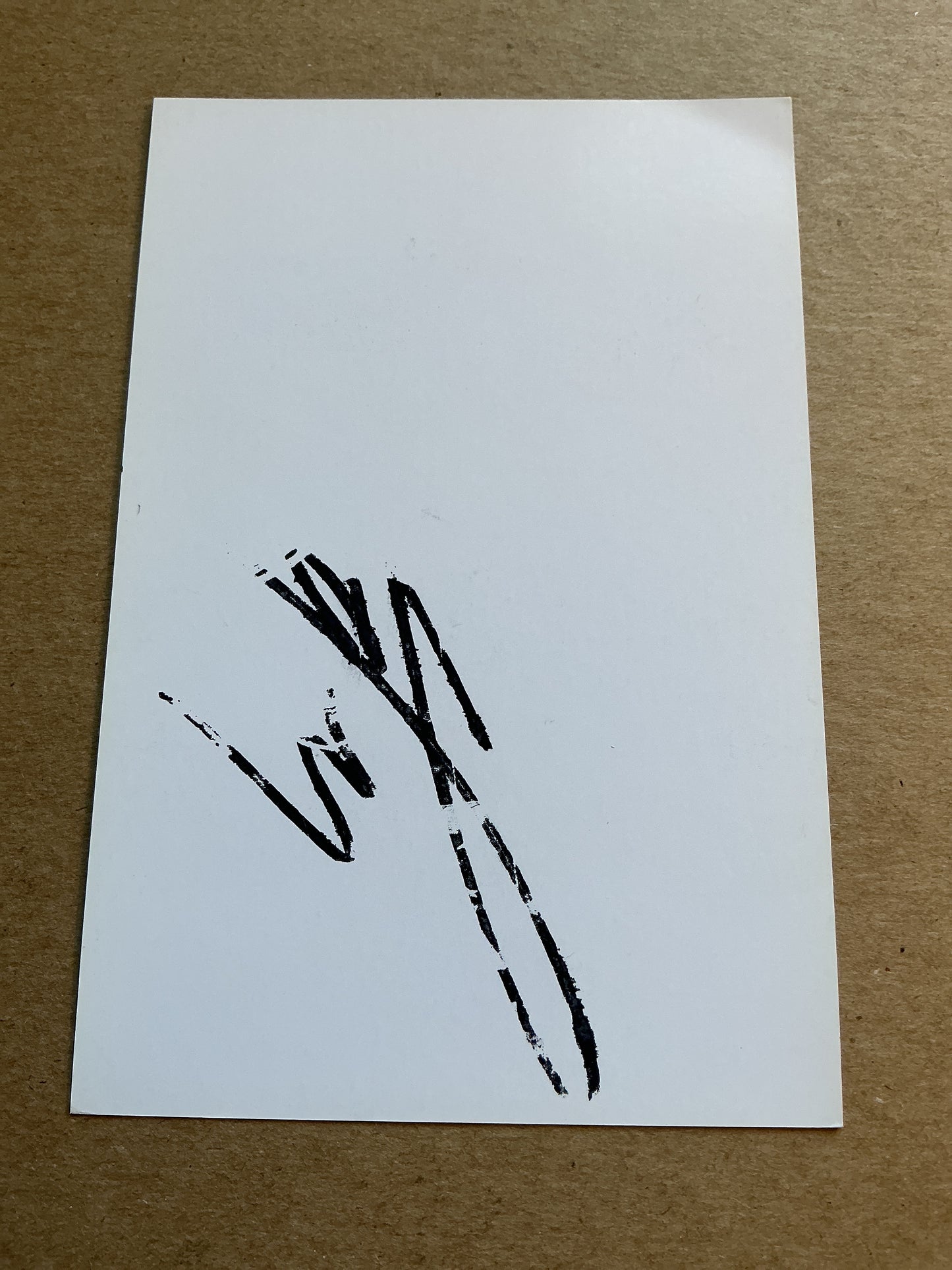 Leander Dendoncker, Belgium 🇧🇪 RSC Anderlecht 2018/19 hand signed