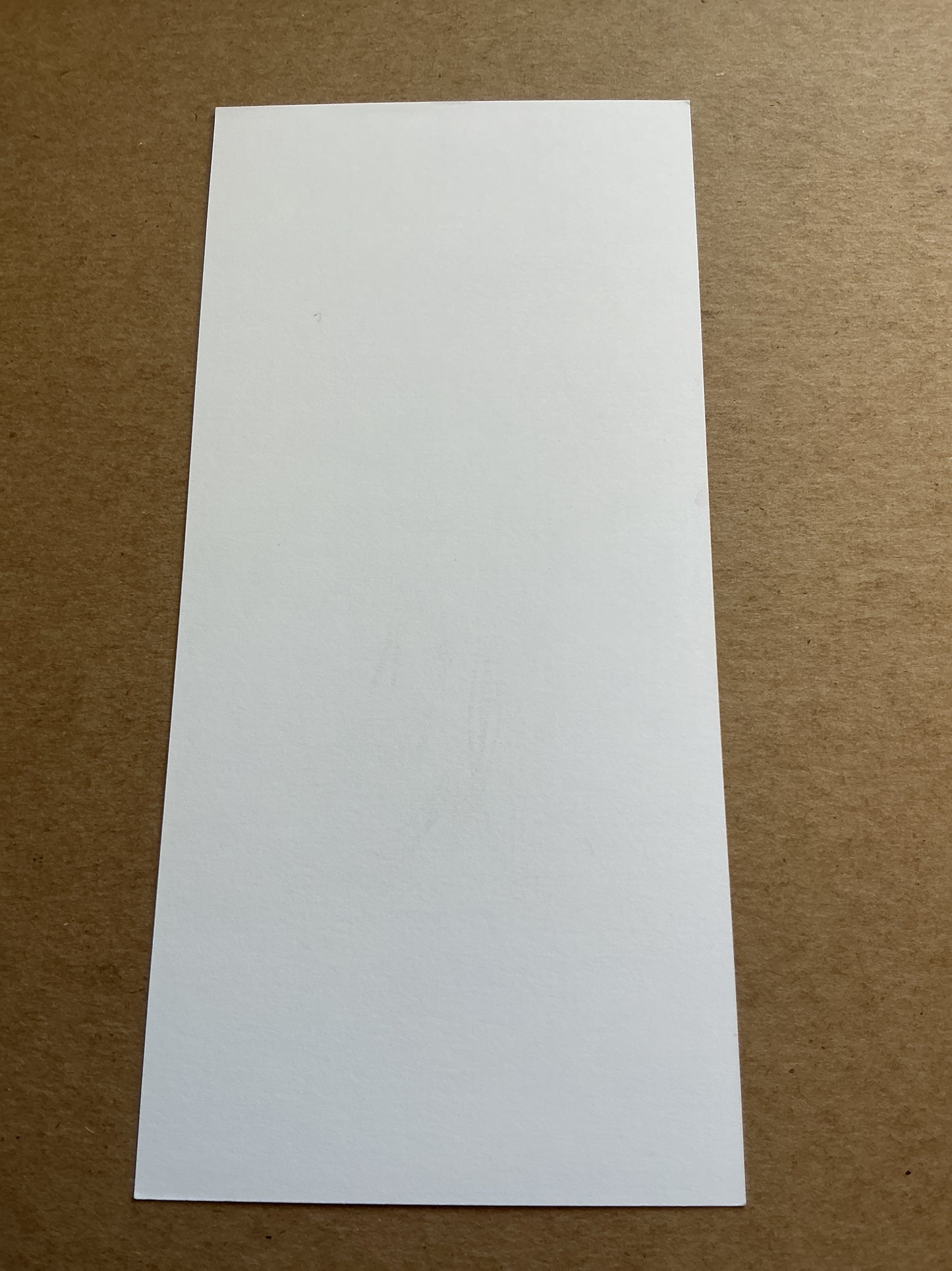 Anthony Lopes, Portugal 🇵🇹 Olympique Lyon 2023/24 hand signed
