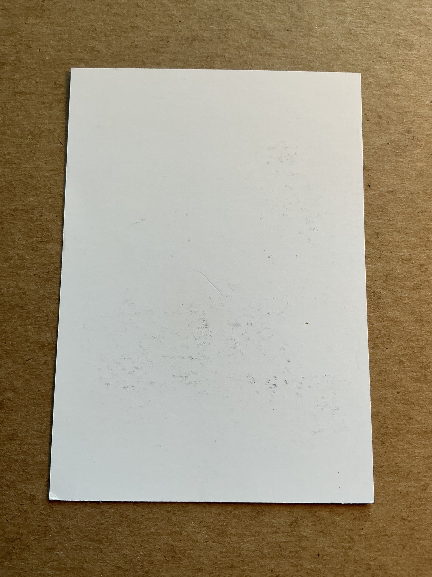 Tomás Nemčík, Slovakia 🇸🇰 MŠK Žilina 2023/24 hand signed