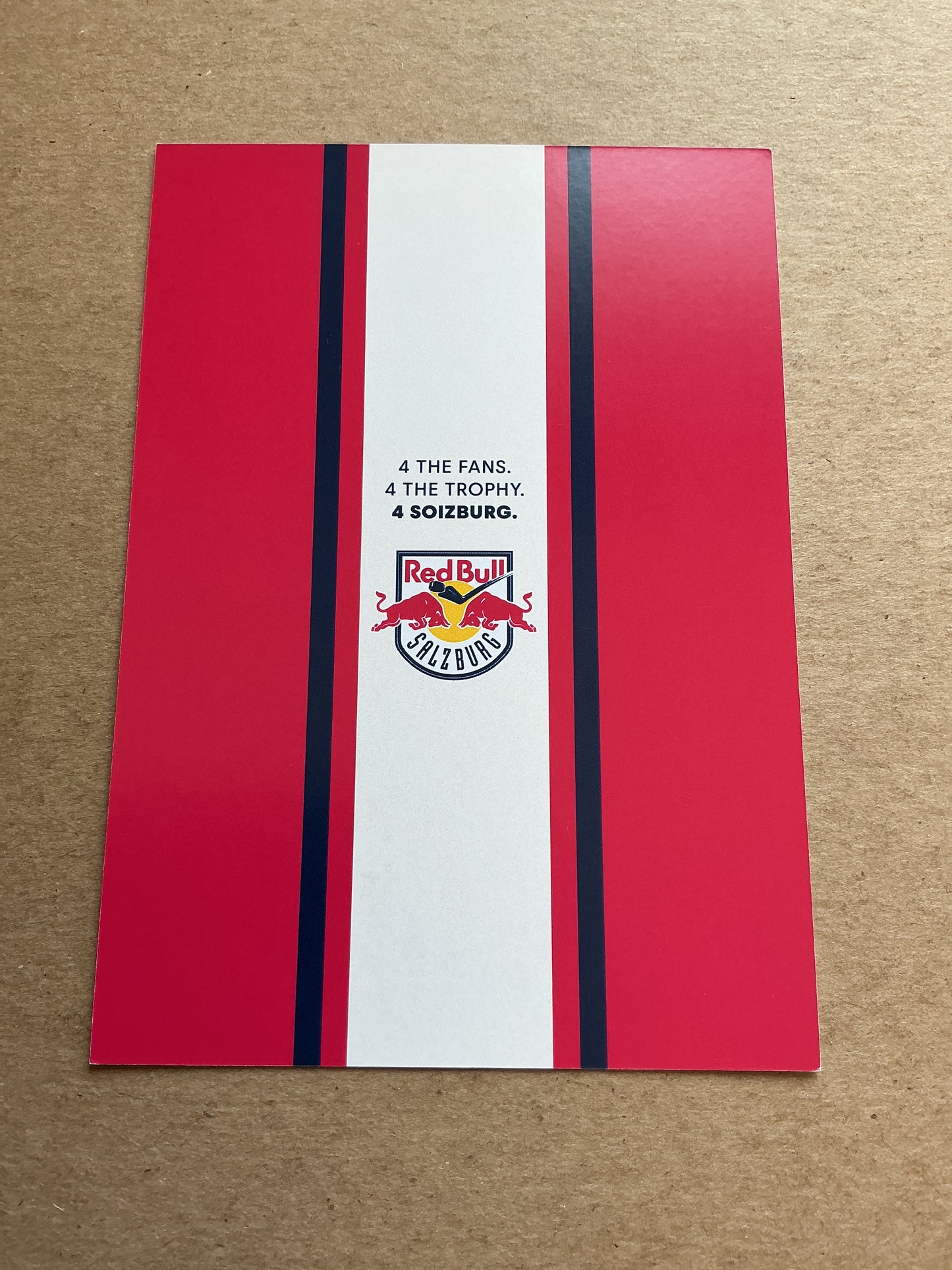 Phillip Sinn, Germany 🇩🇪 EC Red Bull Salzburg 2024/25 hand signed