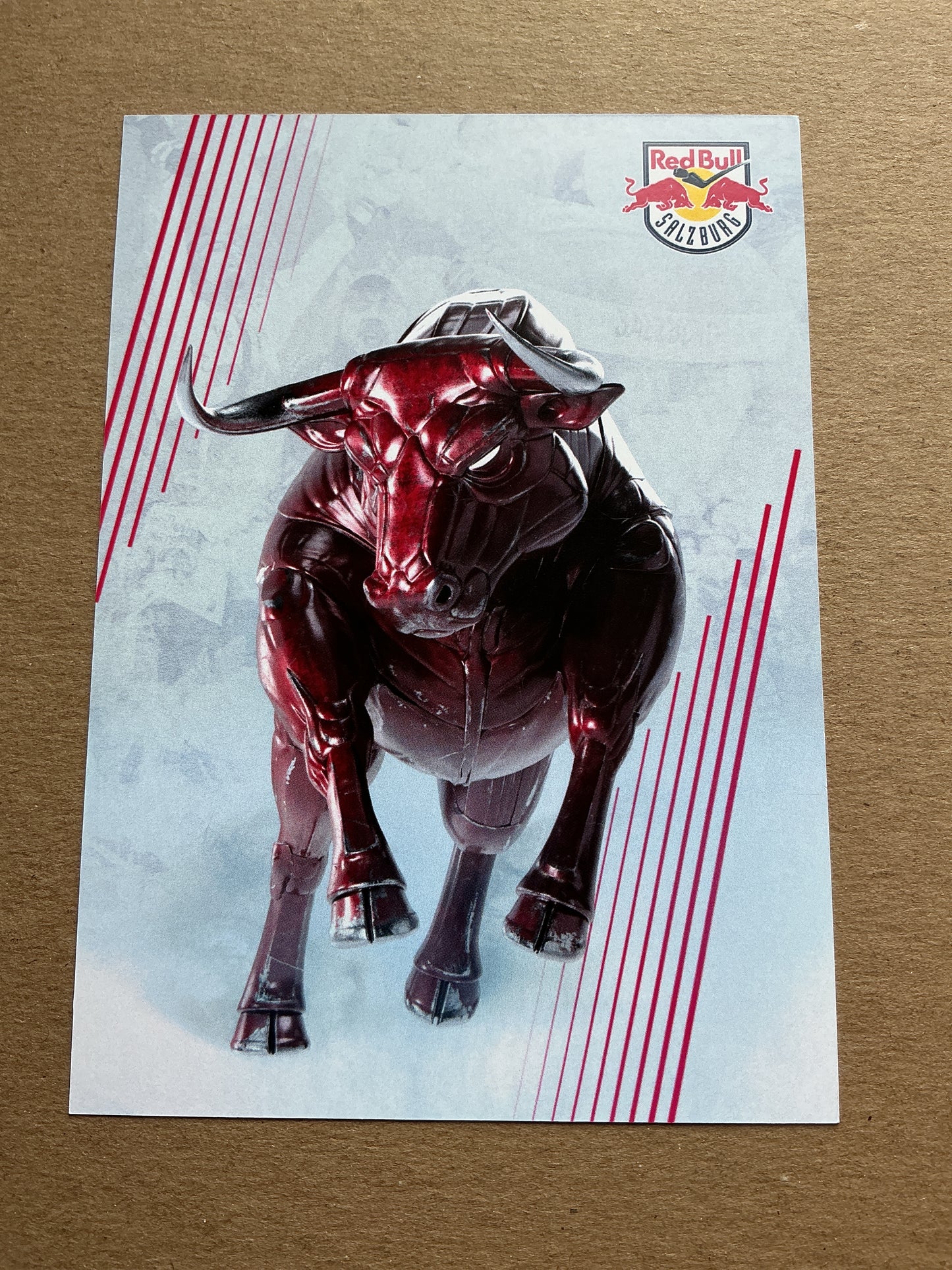 Phillip Sinn, Germany 🇩🇪 EC Red Bull Salzburg 2023/24 hand signed