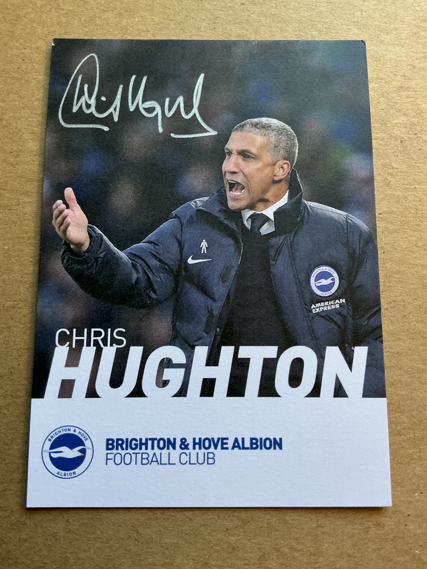 Chris Hughton, Ireland 🇮🇪 Brighton & Hove Albion 2018/19 hand signed