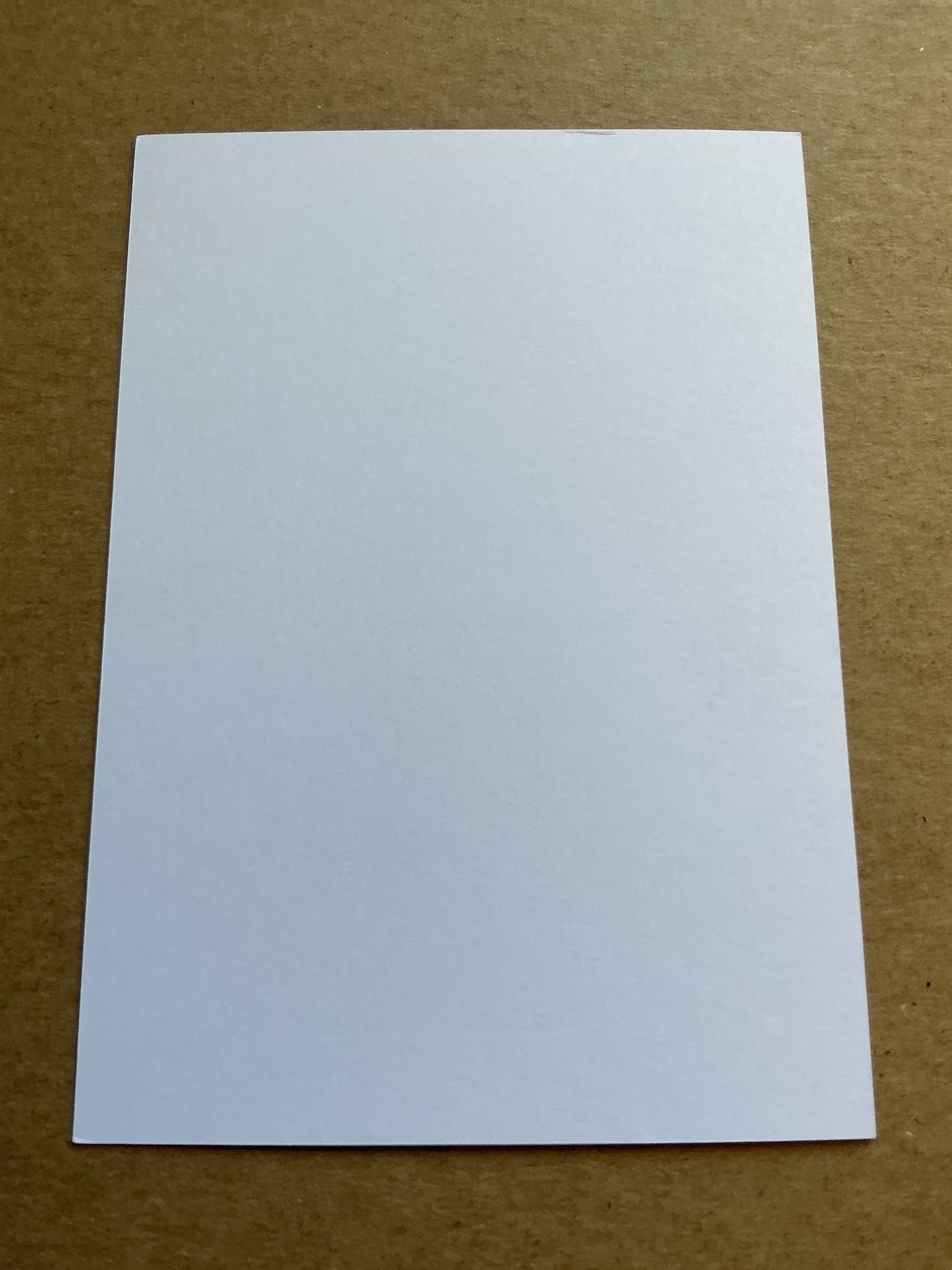 Chris Hughton, Ireland 🇮🇪 Brighton & Hove Albion 2018/19 hand signed