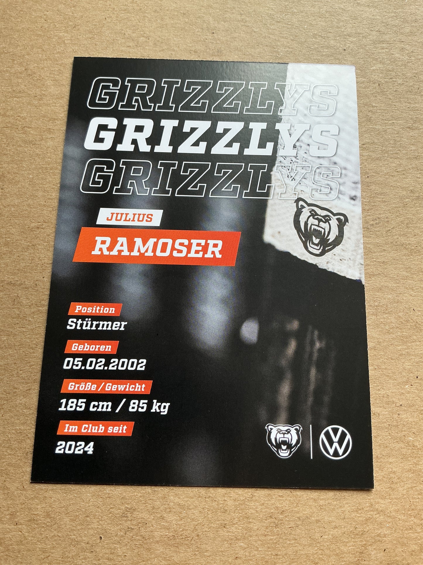 Julius Ramoser, Germany 🇩🇪 Grizzlys Wolfsburg 2024/25 hand signed