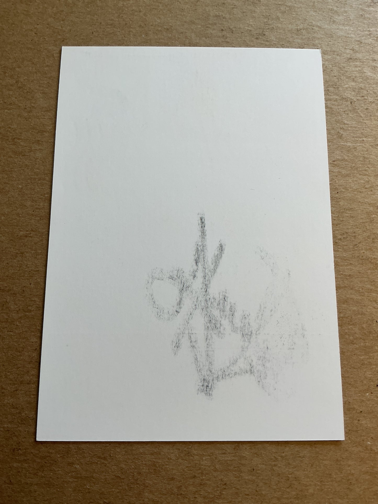 Stefan Kuntz, Germany 🇩🇪 Türkiye 2023 hand signed