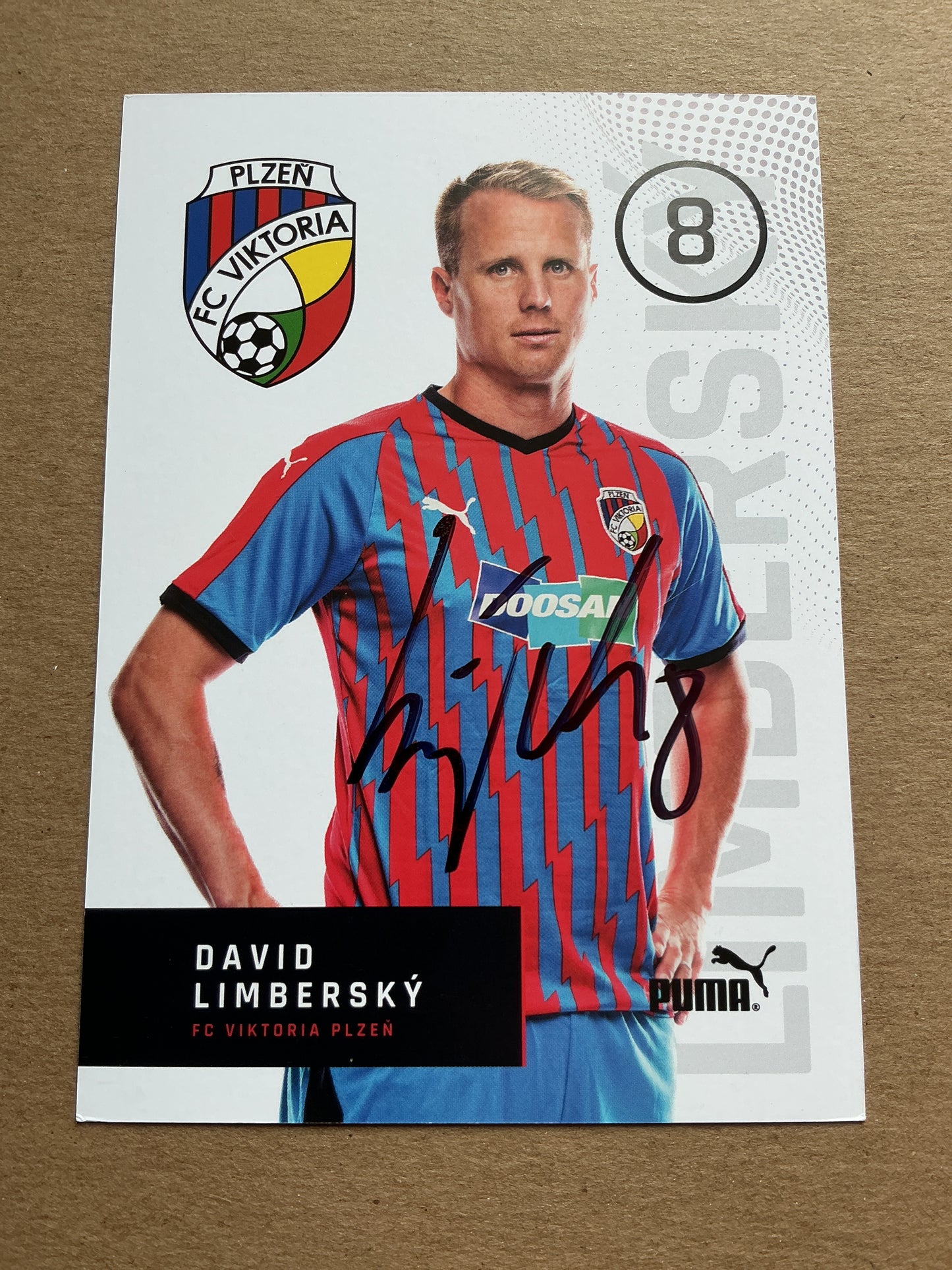 David Limberský, Czech Republic 🇨🇿 FC Viktoria Plzeň 2019/20 hand signed