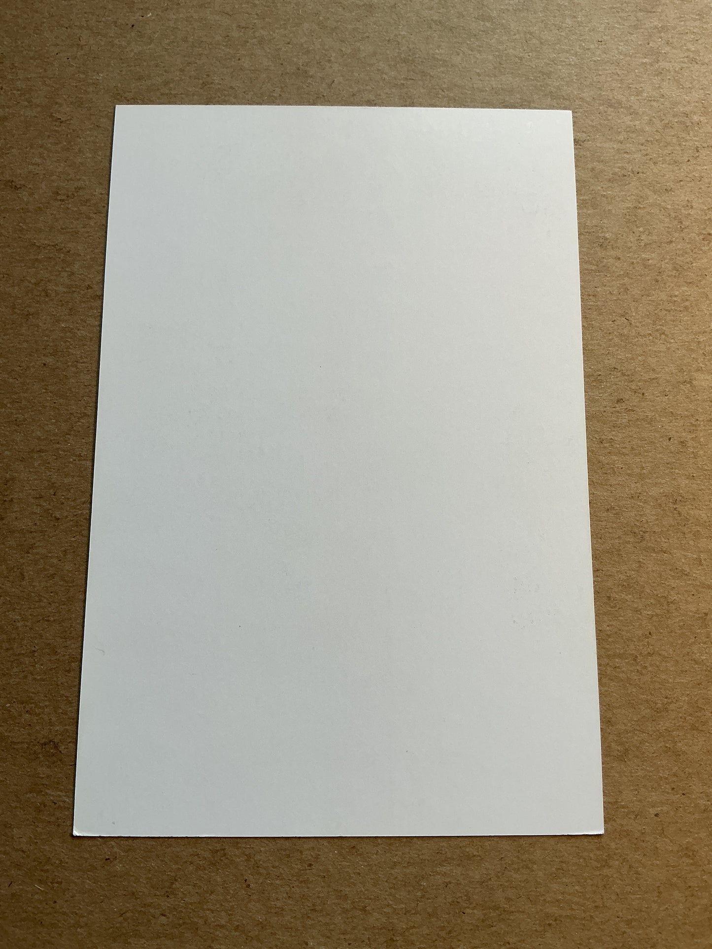 Dodi Lukébakio, Belgium 🇧🇪 Sevilla FC 2024/25 hand signed