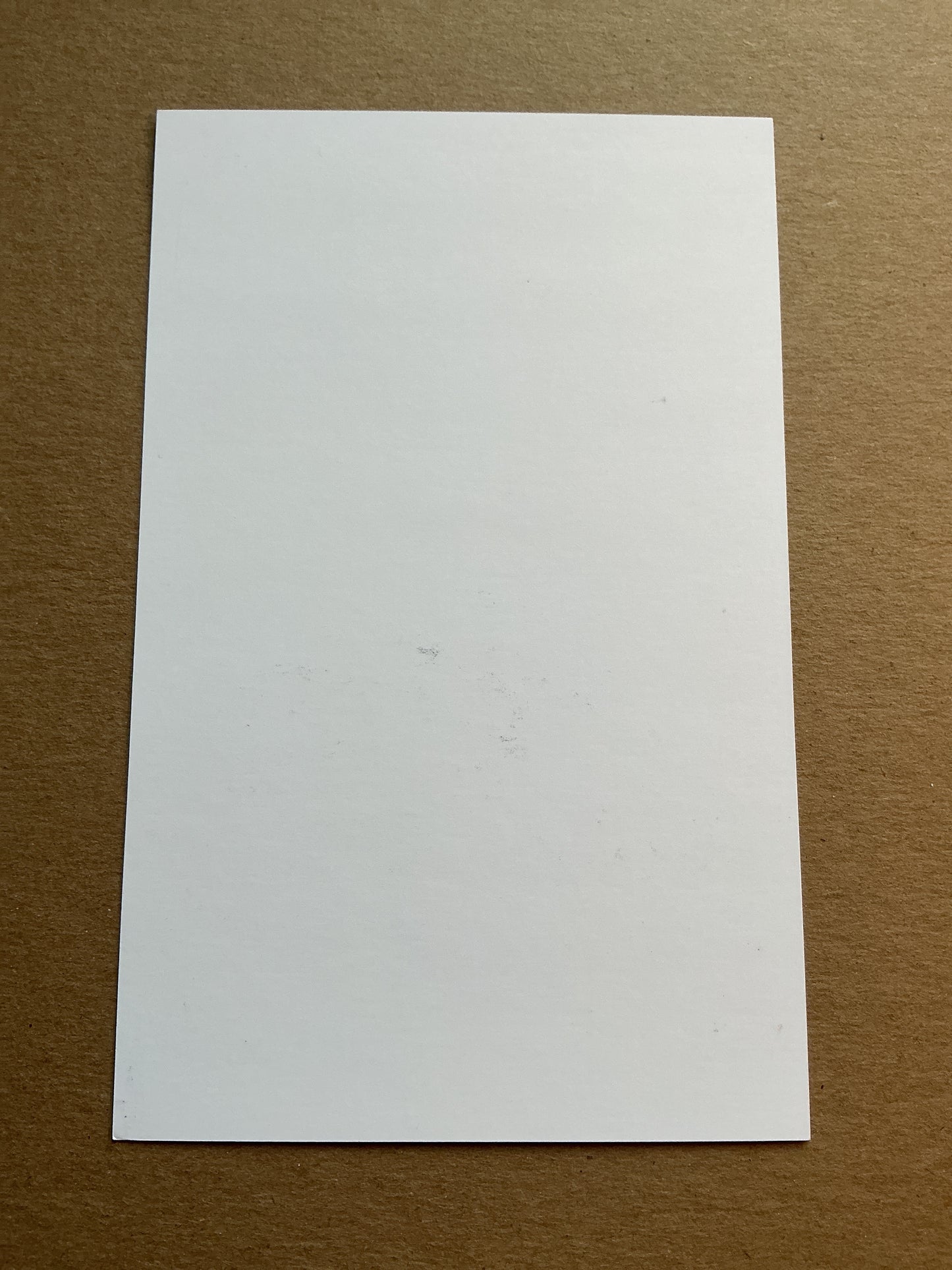Endrick, Brazil 🇧🇷 Olympique Lyon 2025/26 hand signed